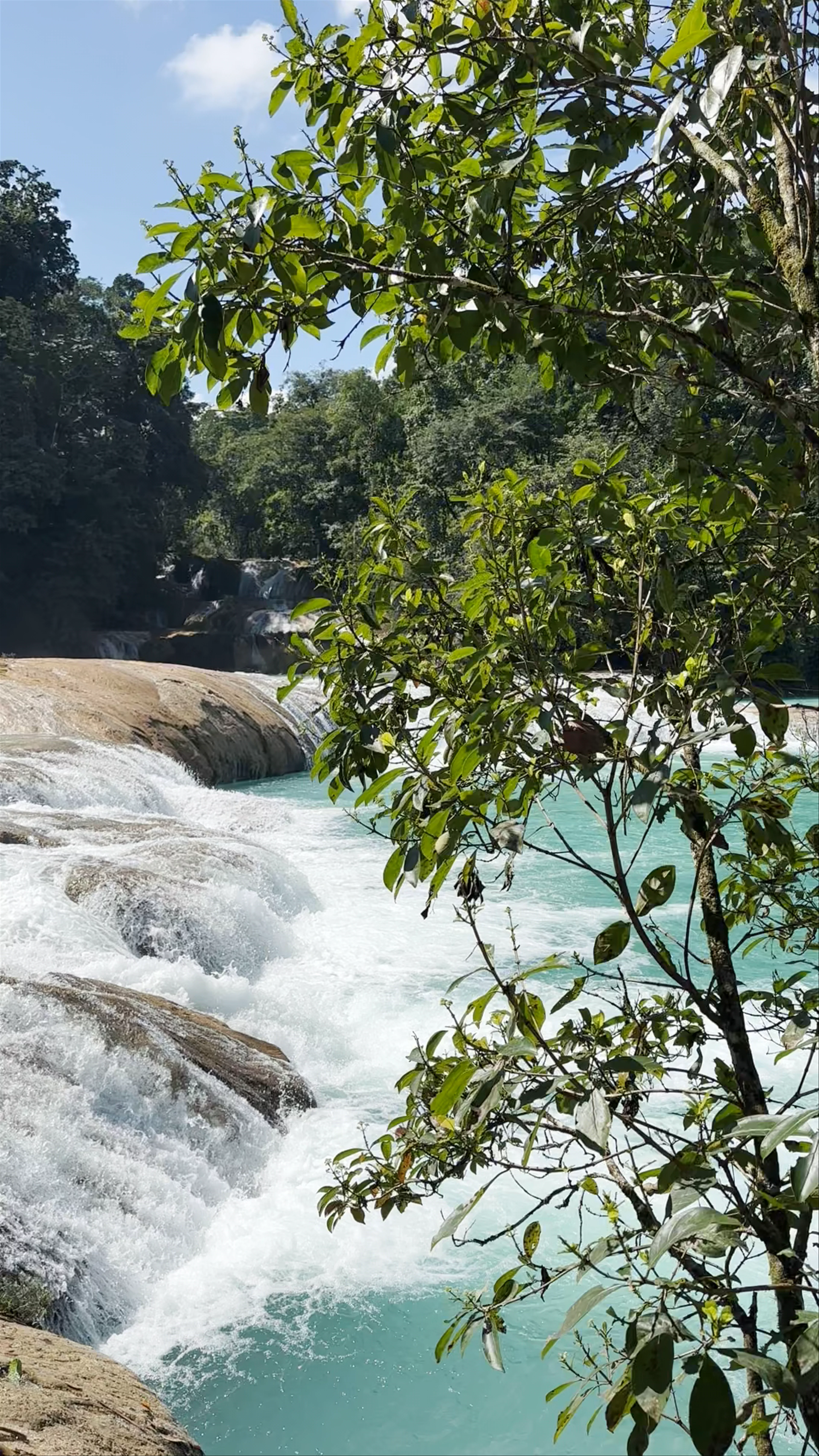 Cascada de Agua Azul
