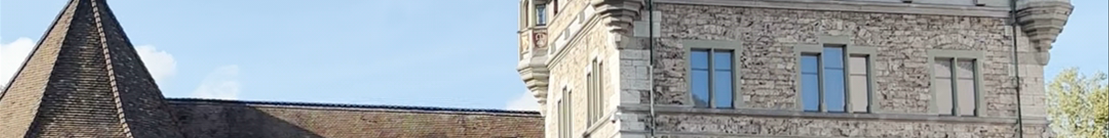 Tours & experiences in Zürich