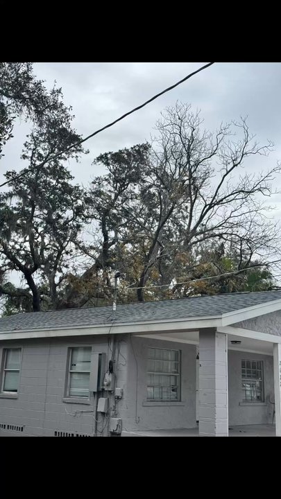 Broadway Tree Care - Broadway Tree Care. Hillsborough county - Tree Services Near Me