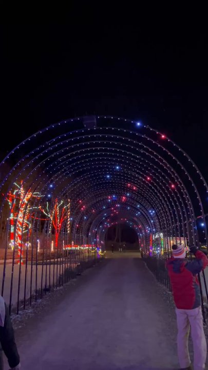 Miracle At Big Rock - Forest of Lights! - Festivals Near Me - St. Croix Falls, Wisconsin