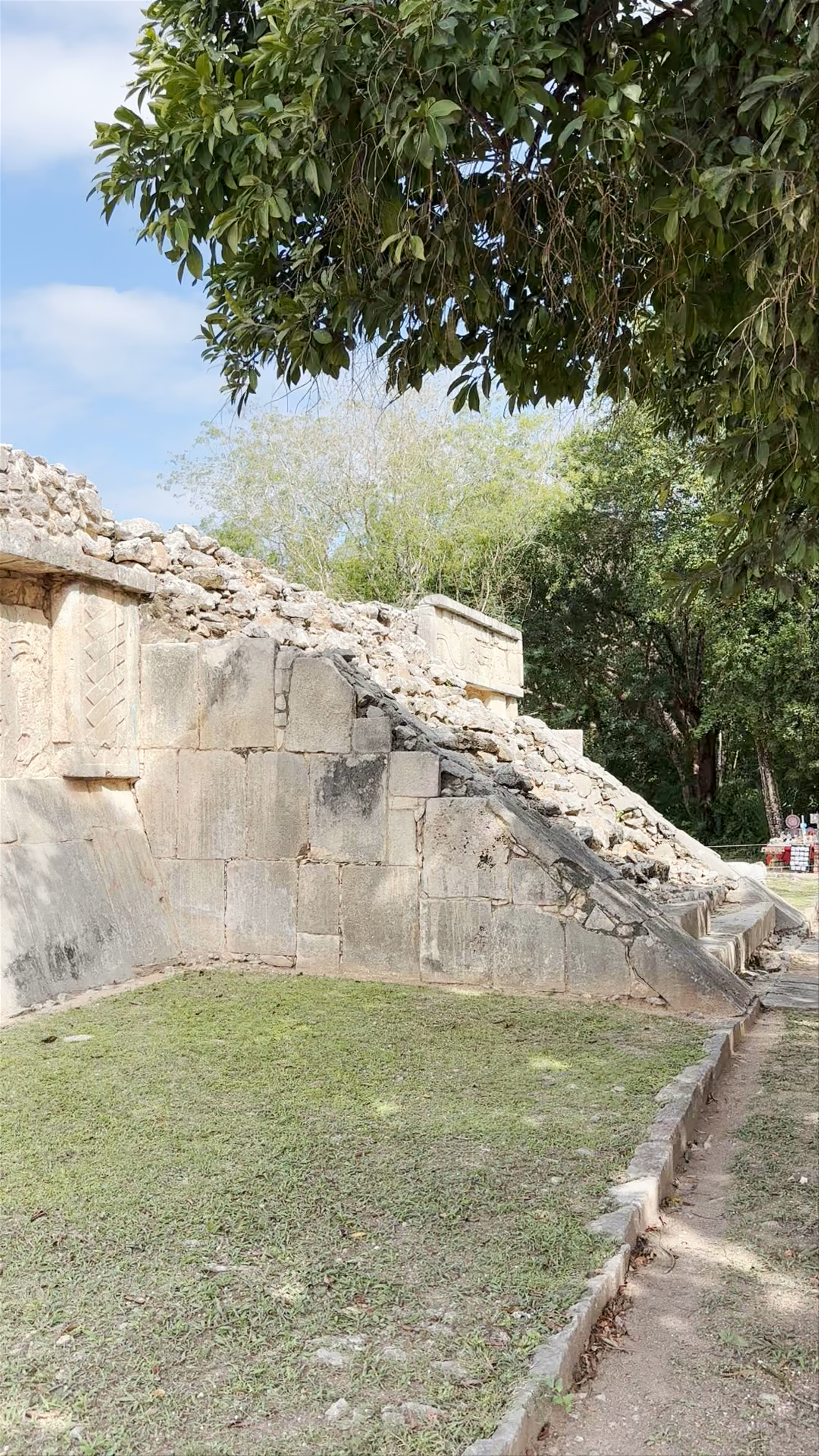 Plataforma de venus