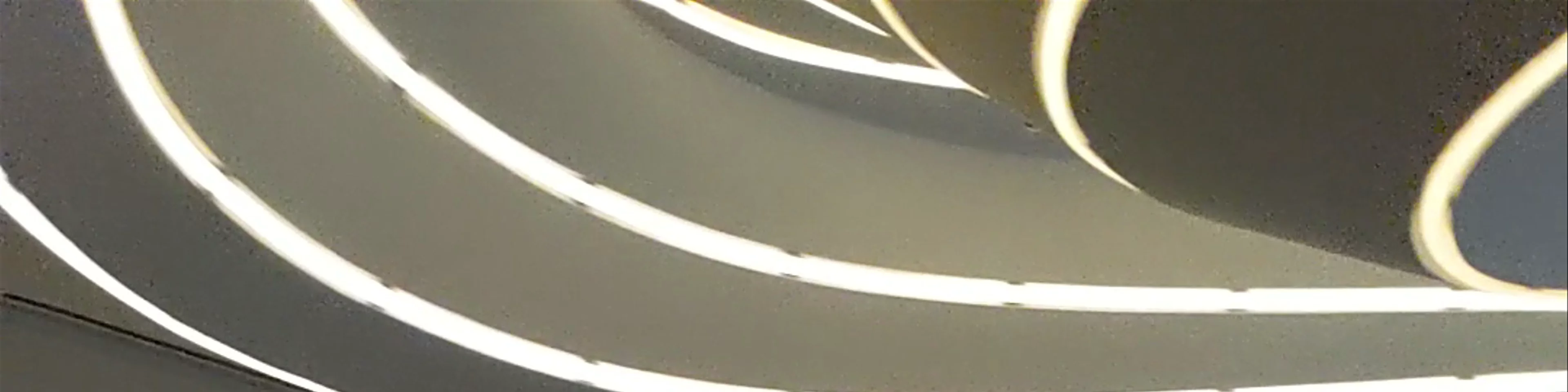 Vela