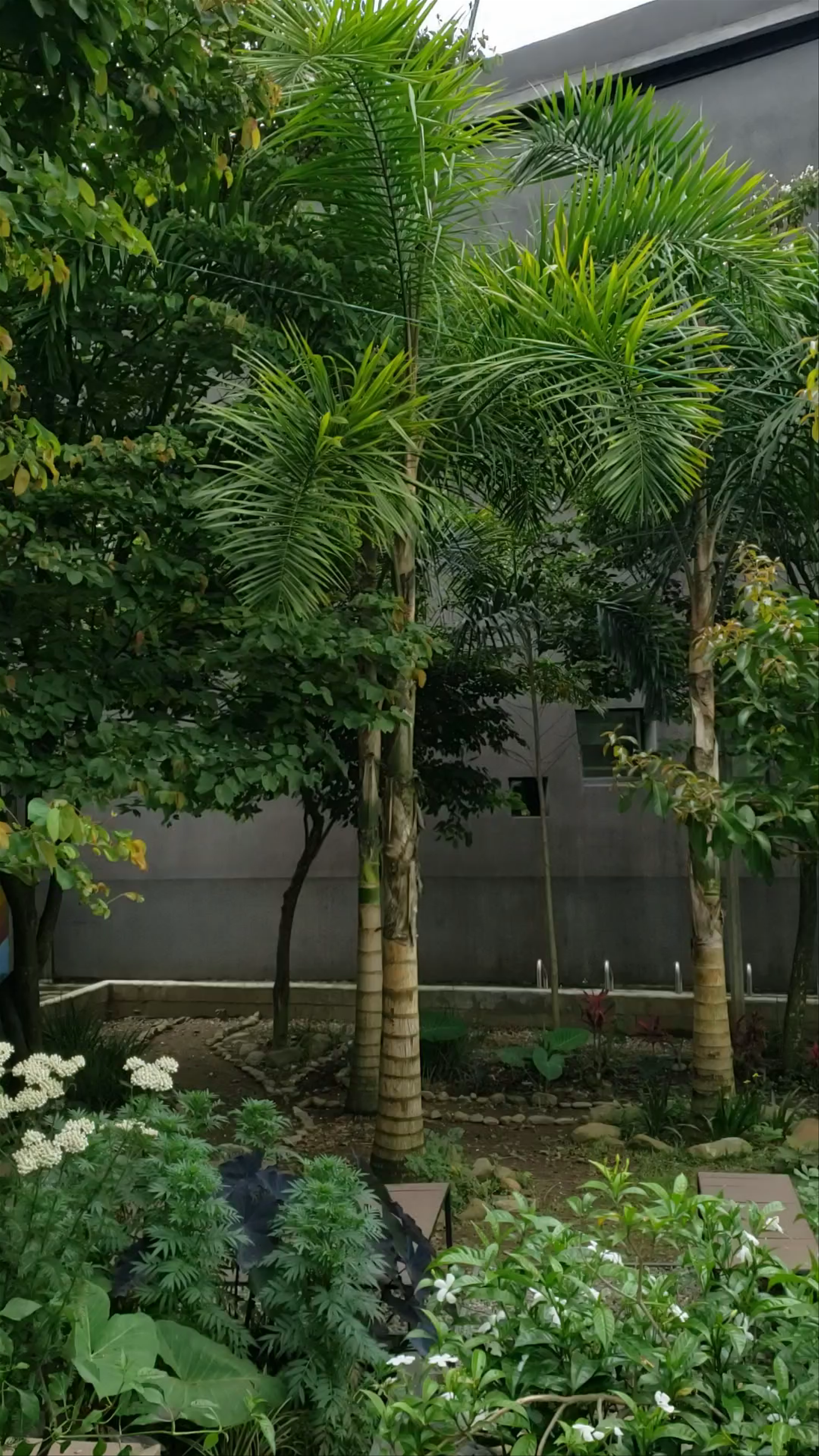 Museo Casa de la Memoria