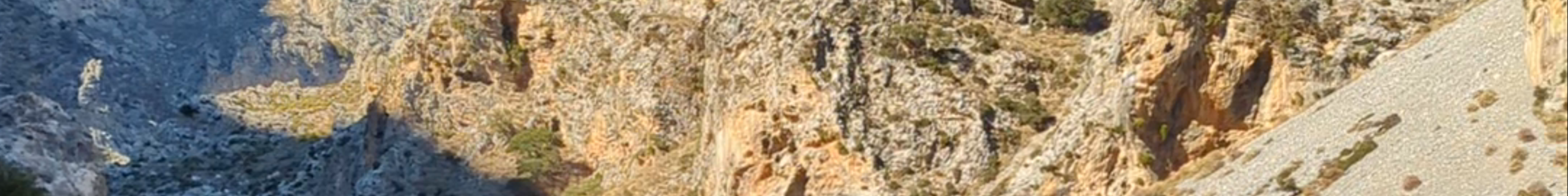 Tours & experiences in Rethymno