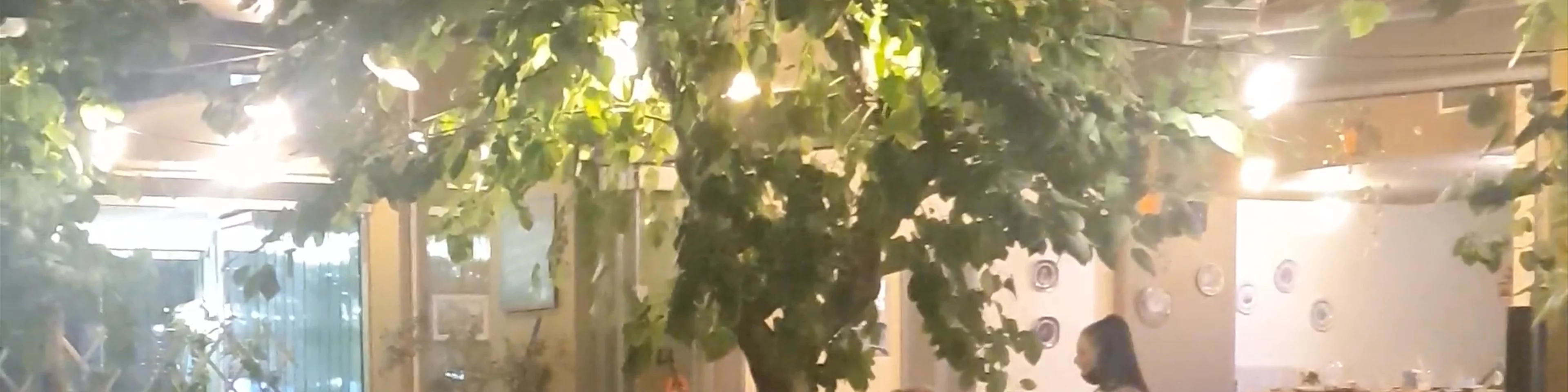 Το Καντουνι