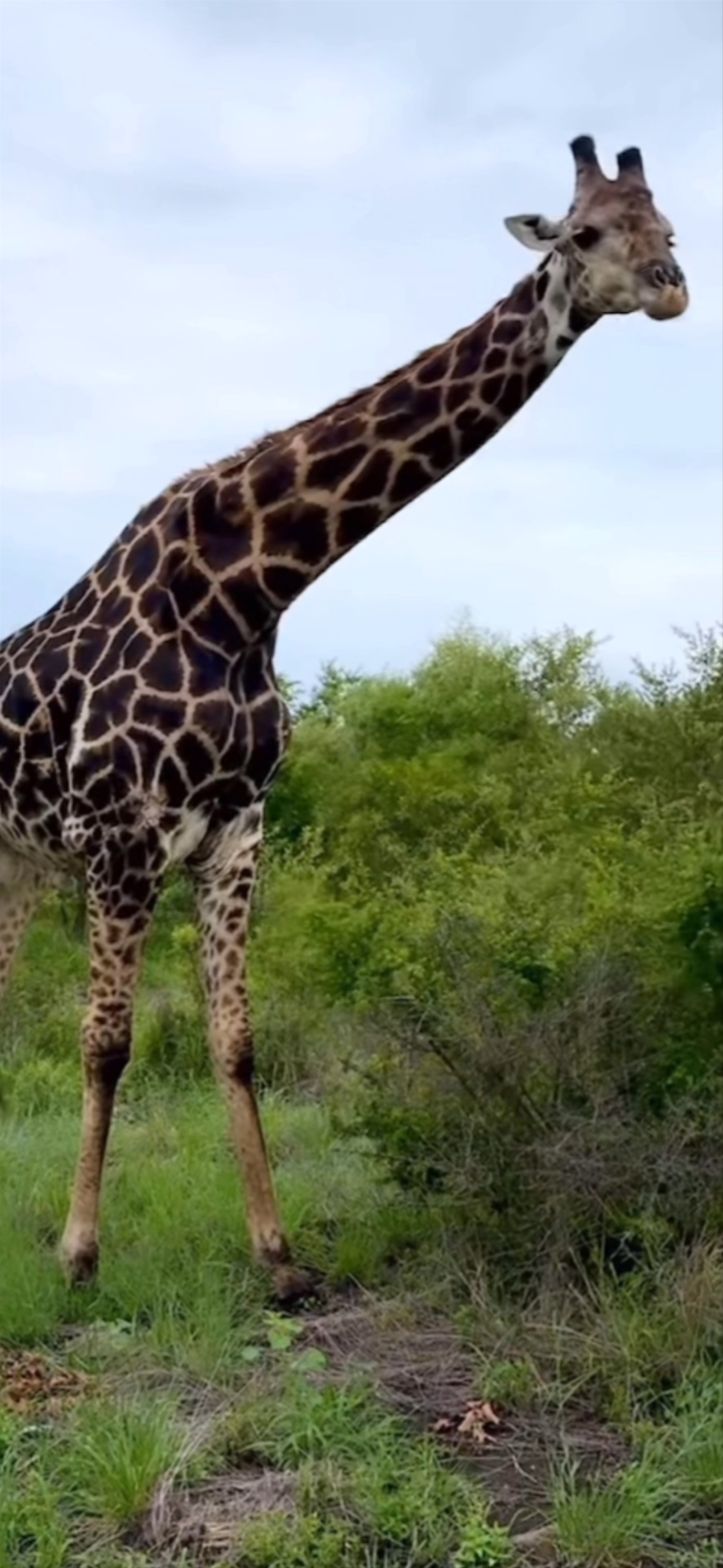 Kruger National Park