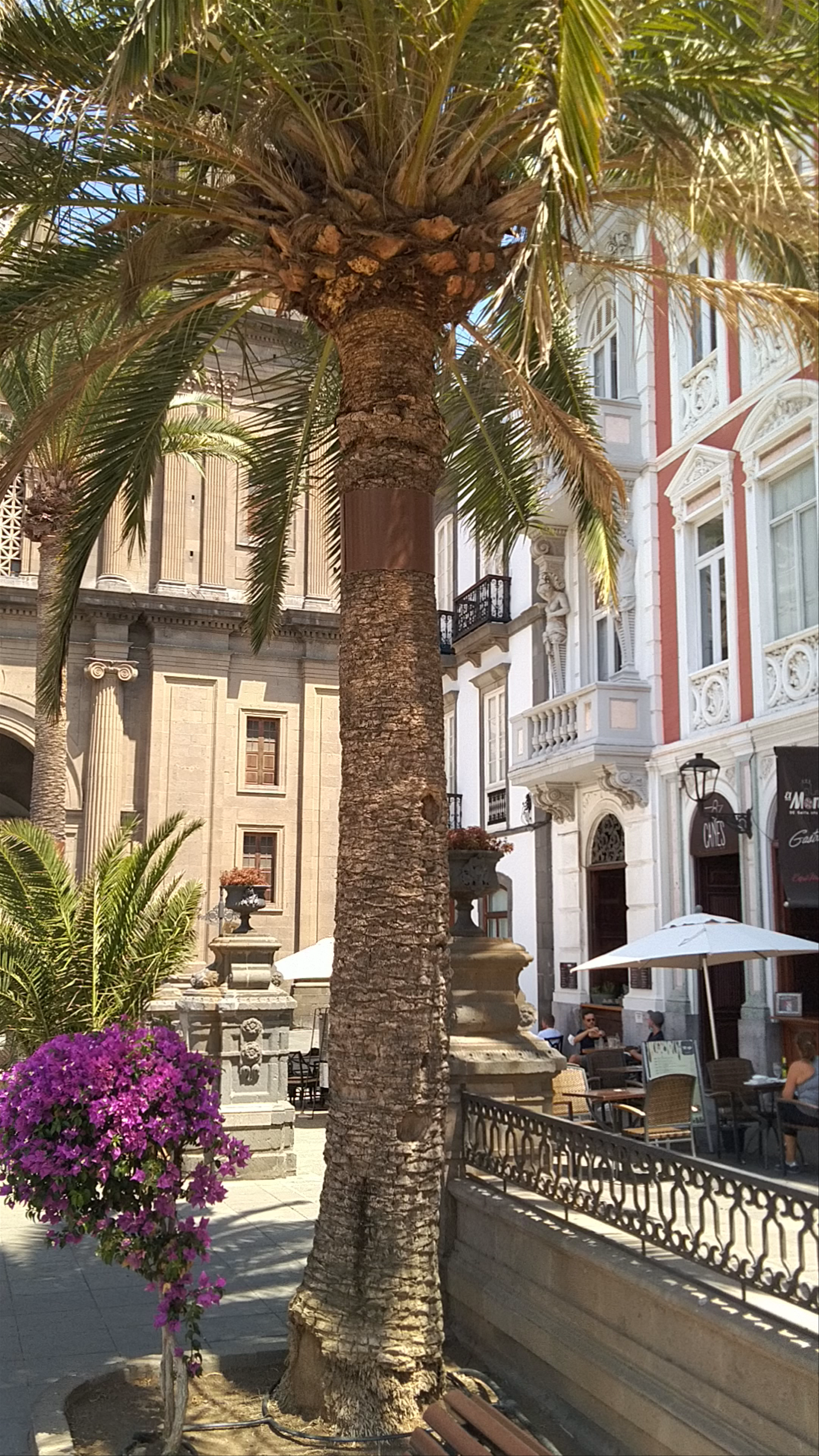 Sunny Day at Plaza Santa Ana - Heart of Las Palmas de Gran Canaria
