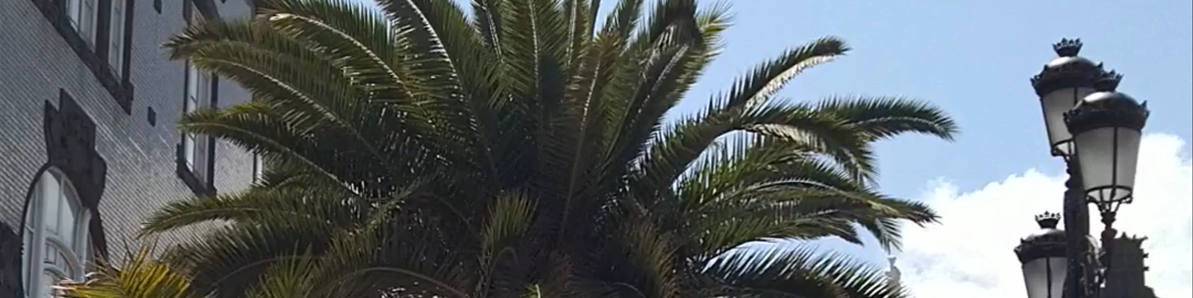 Plaza Santa Ana