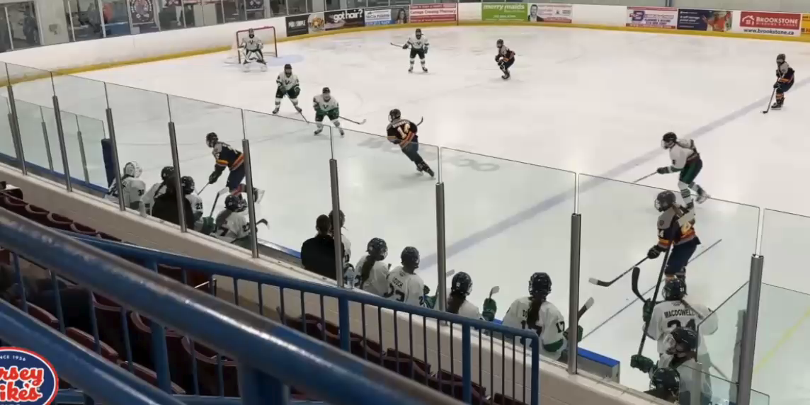 Charlotte McDonough's Incredible Save vs Barrie U22 | Bourget Collège