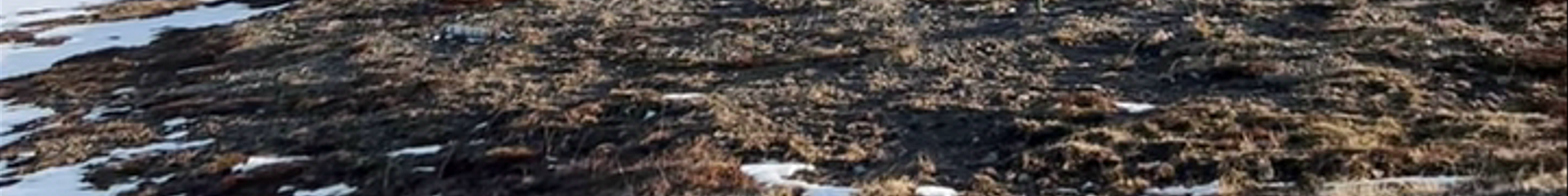 Tours & experiences in Grundarfjörður