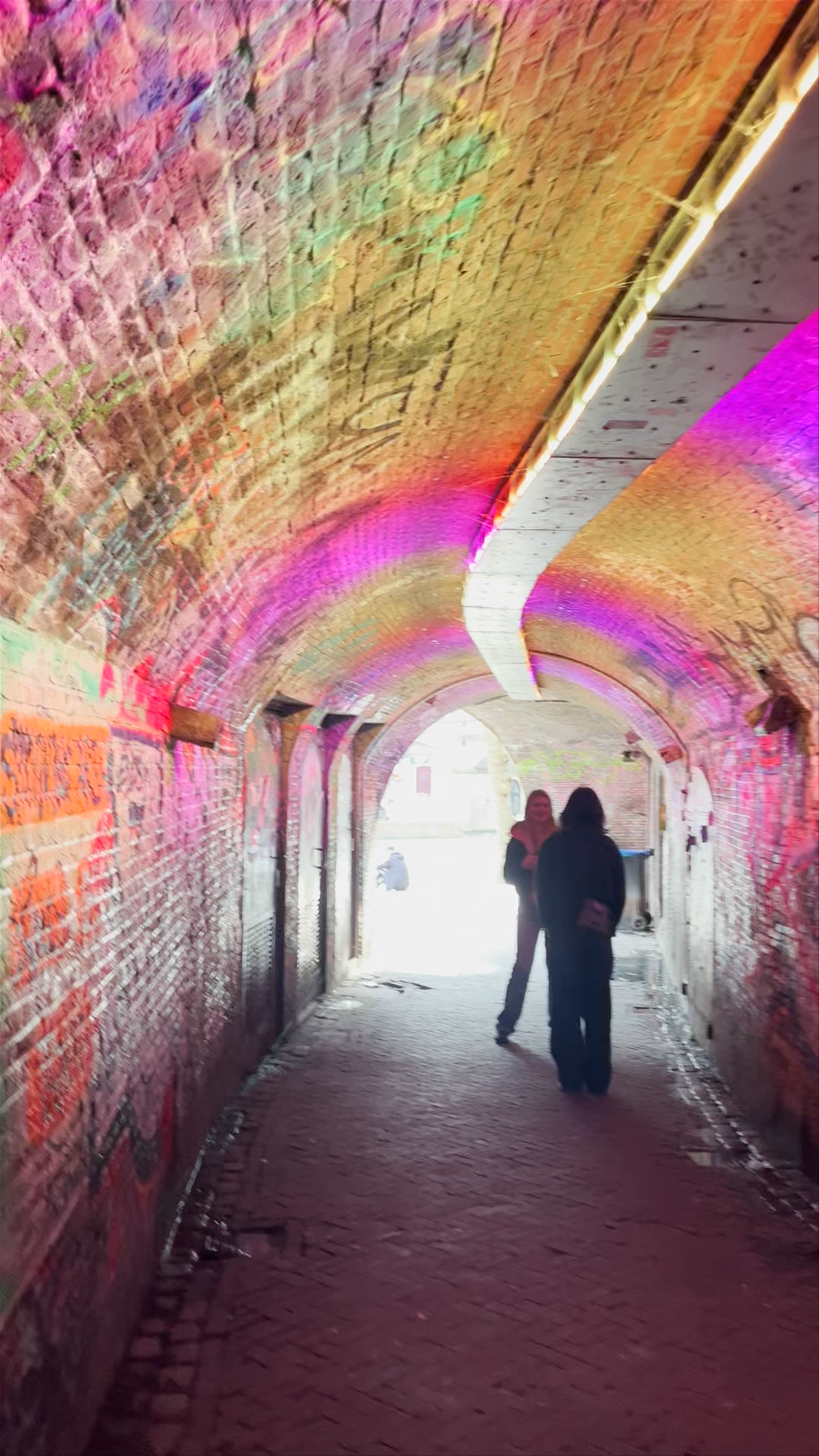 The Goose Market Tunnel: A Vivid Urban Passage in Utrecht