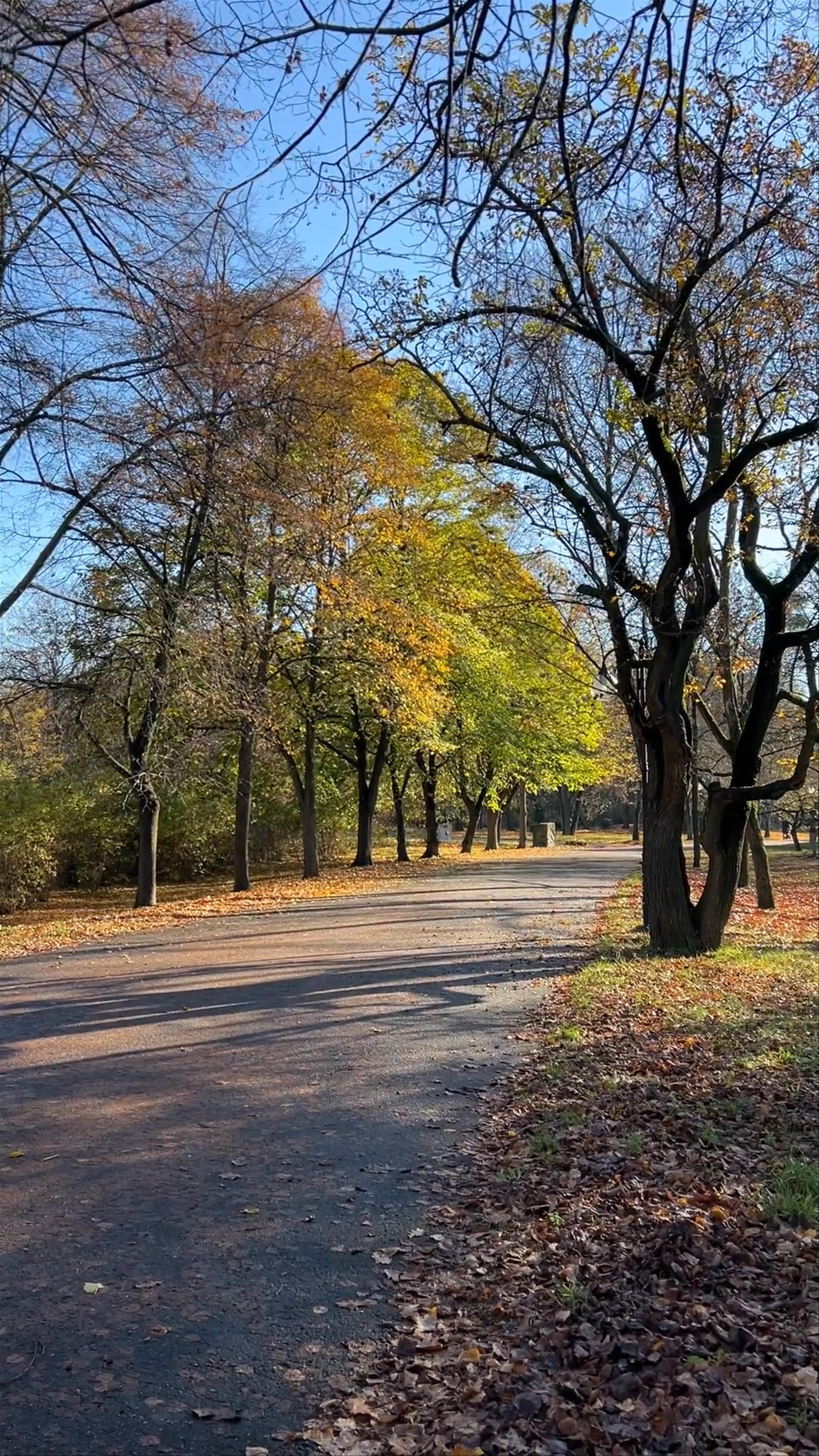Citadel Park