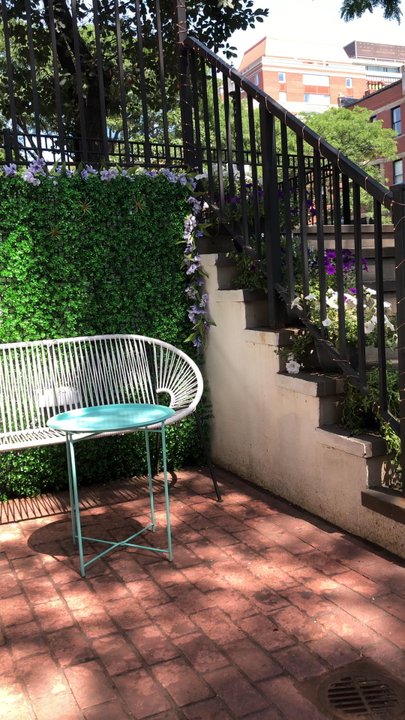 Mother Juice - View from the patio - Juice Bars & Smoothies Near Me - Boston, Massachusetts