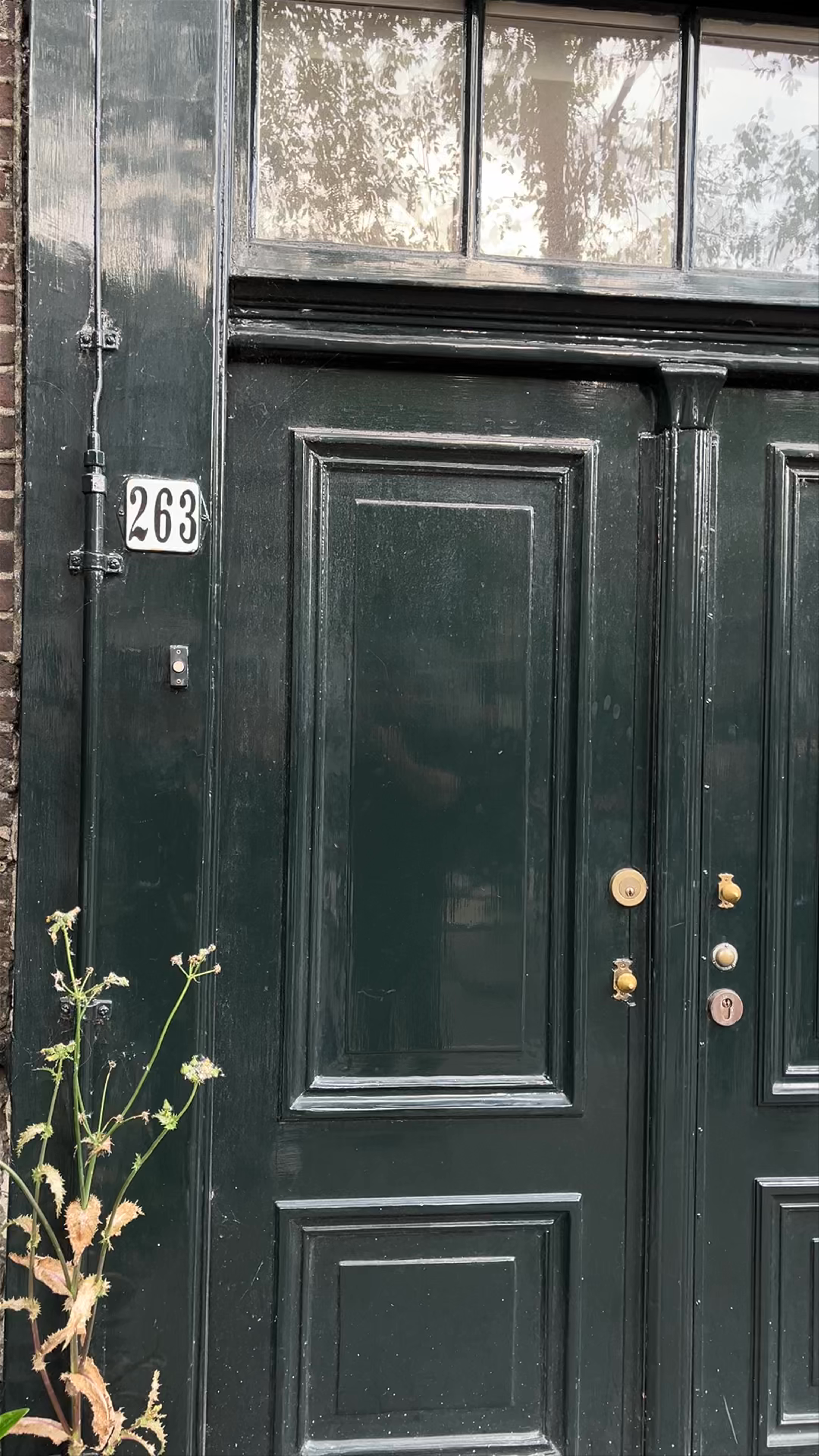Anne Frank House: A Reflective Journey Through History in Amsterdam