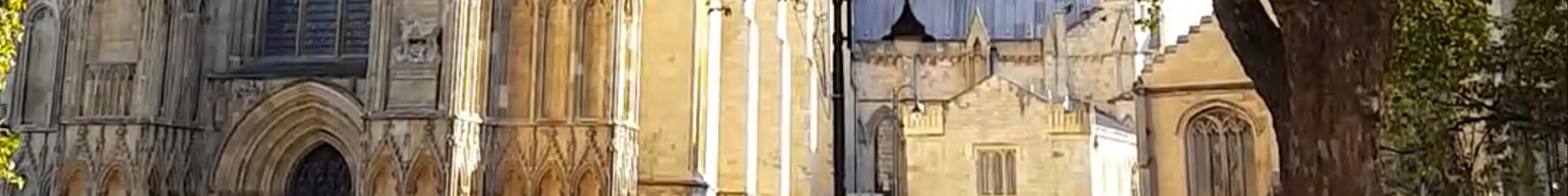 Tours & experiences in York
