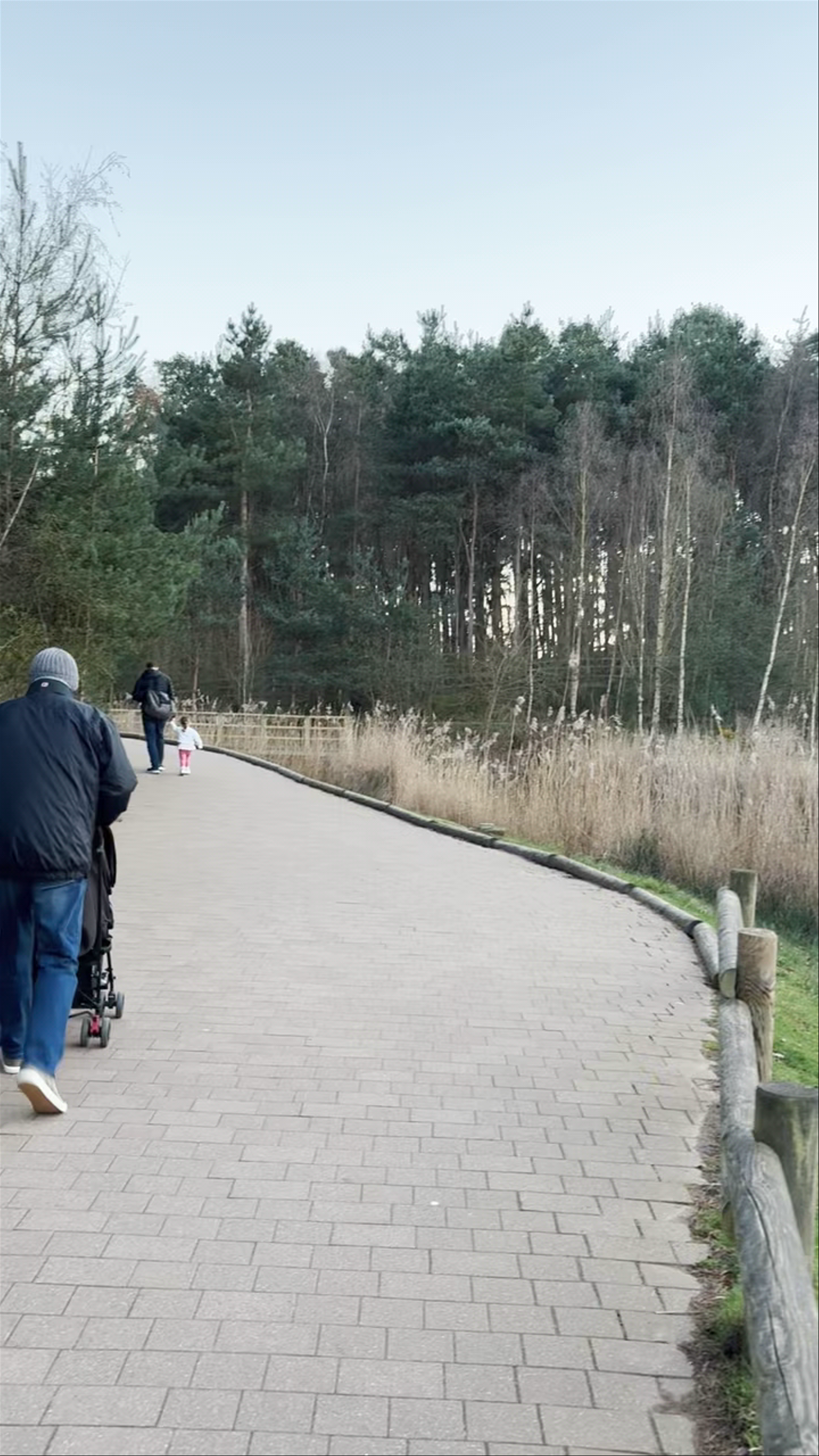 Subtropical Swimming Paradise