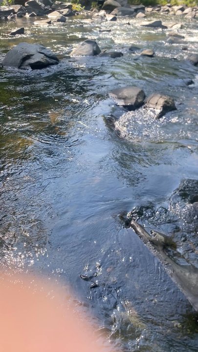 Patapsco State Park - Avalon Area - Listen to that sound - Parks Near Me - Halethorpe, Maryland