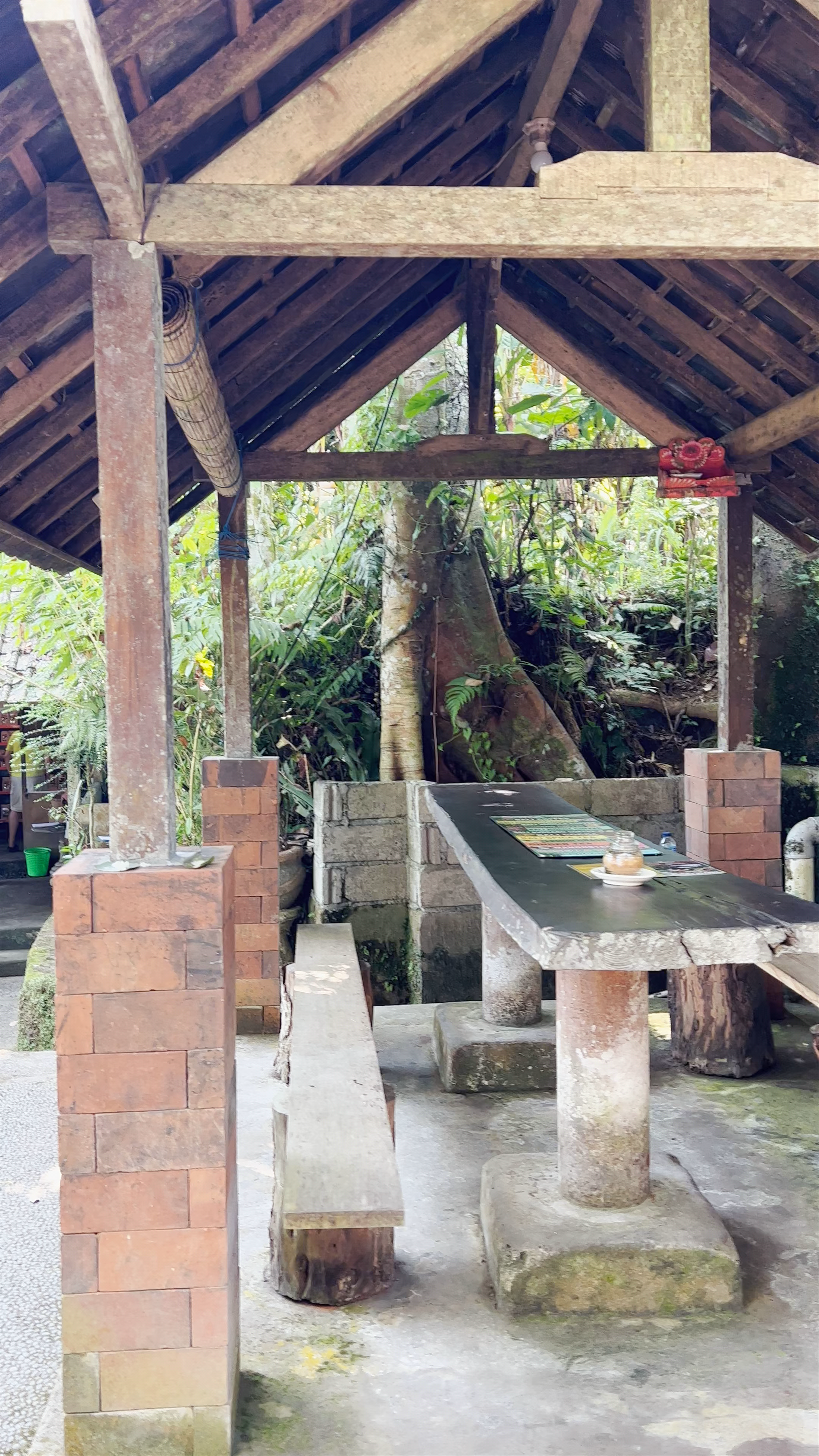 Santi coffee Plantation Luwak