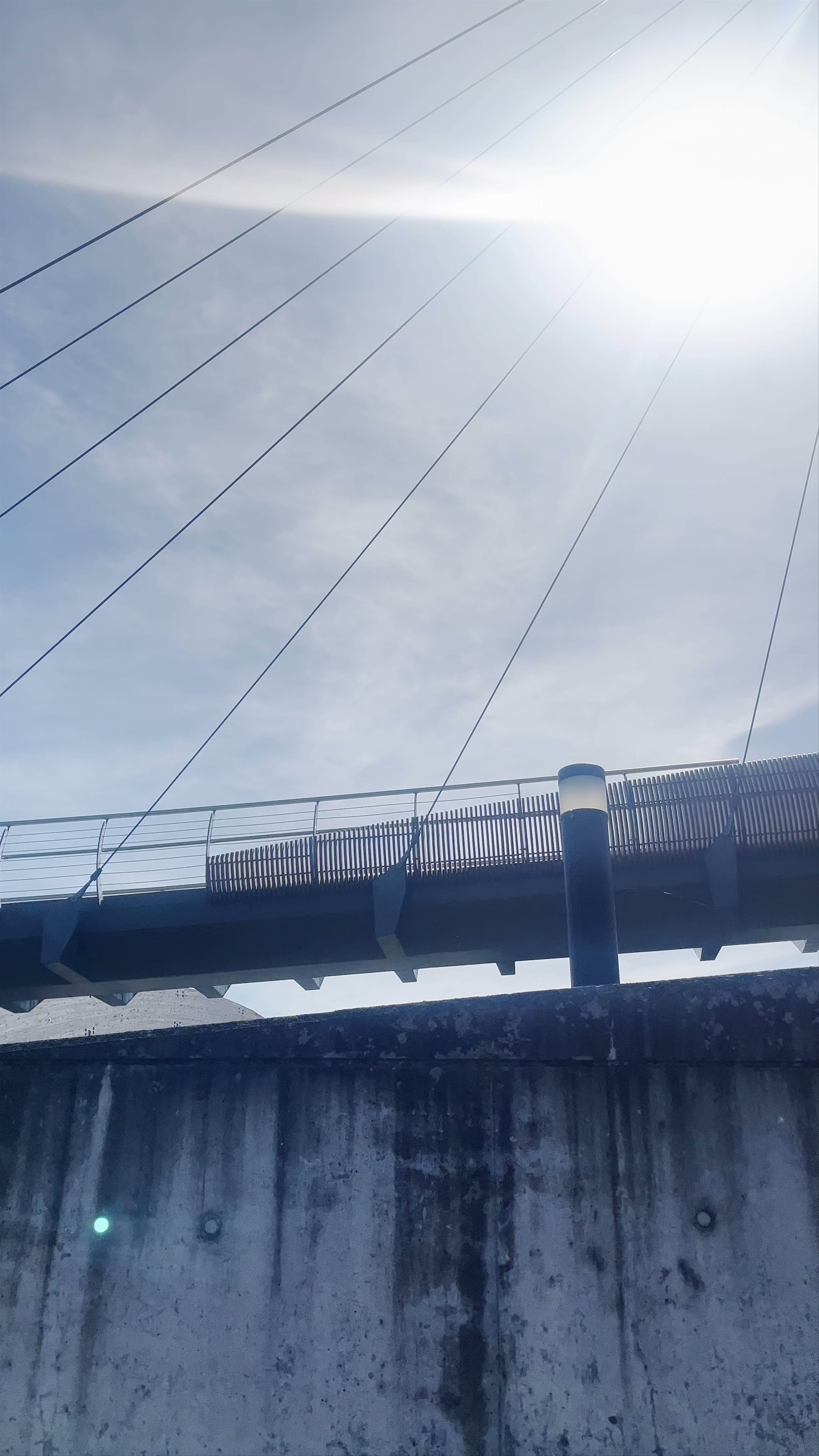 Gājēju Tilts Bridge – Scenic Walk and Urban Calm in Jelgava, Latvia