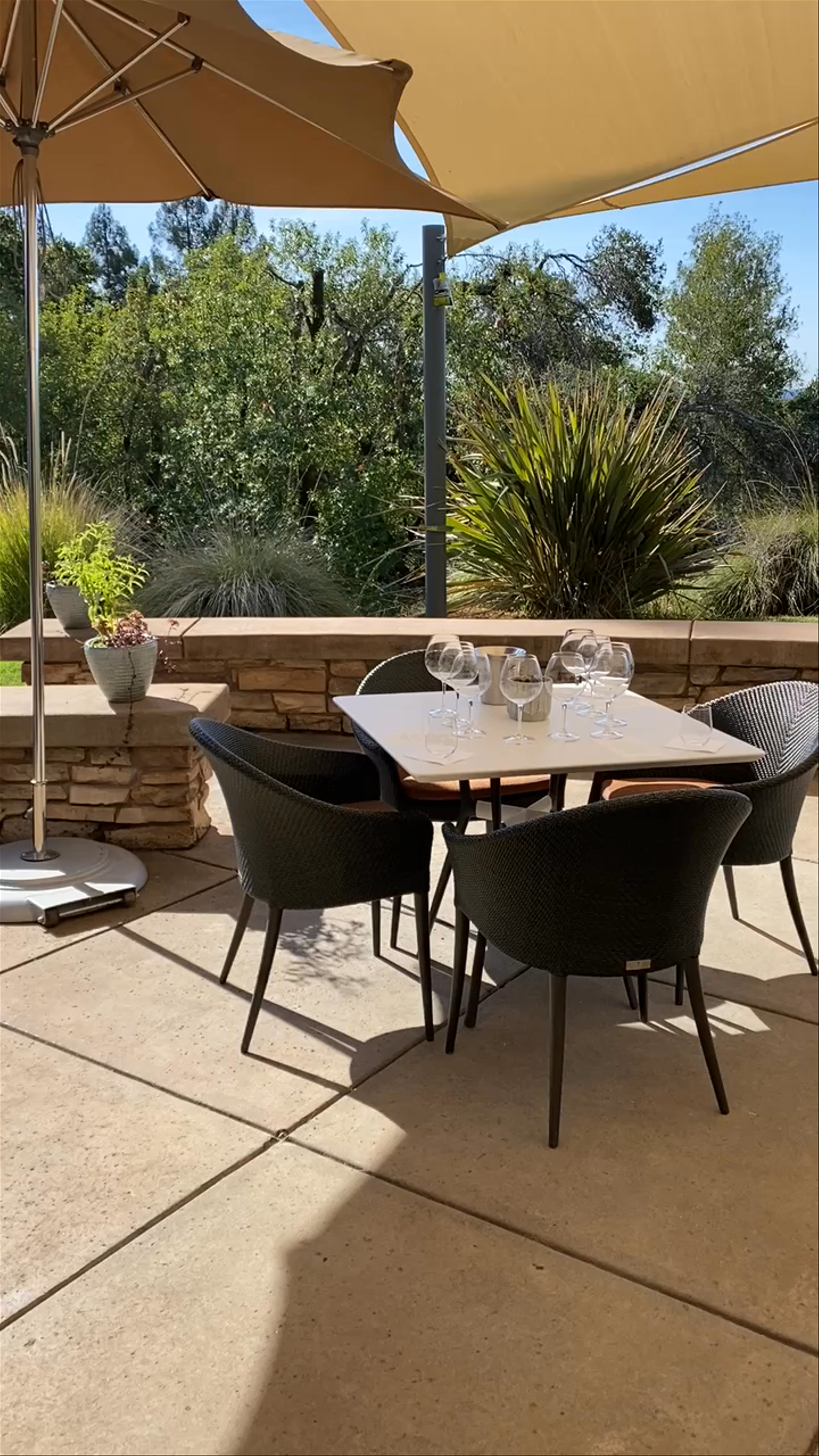 Gary Farrell Vineyards & Winery: Serene Wine Country Patio Experience