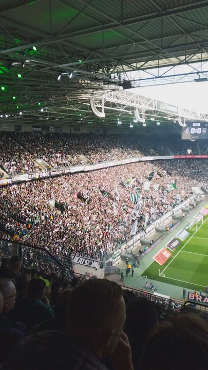Borussia-Park - Stadiums & Arenas Near Me - Mönchengladbach, NW