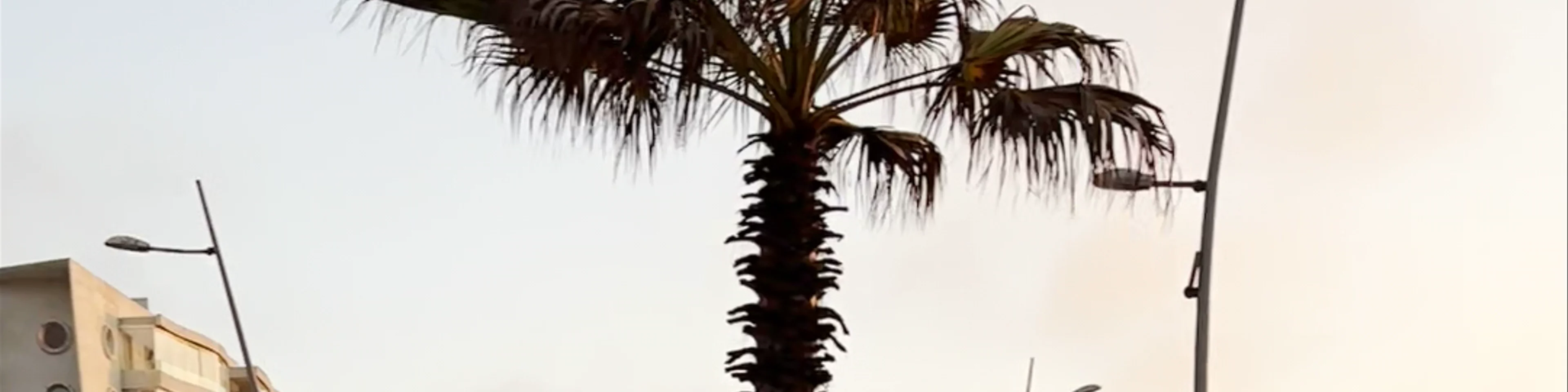 Avenida del mar - Avenida del Mar