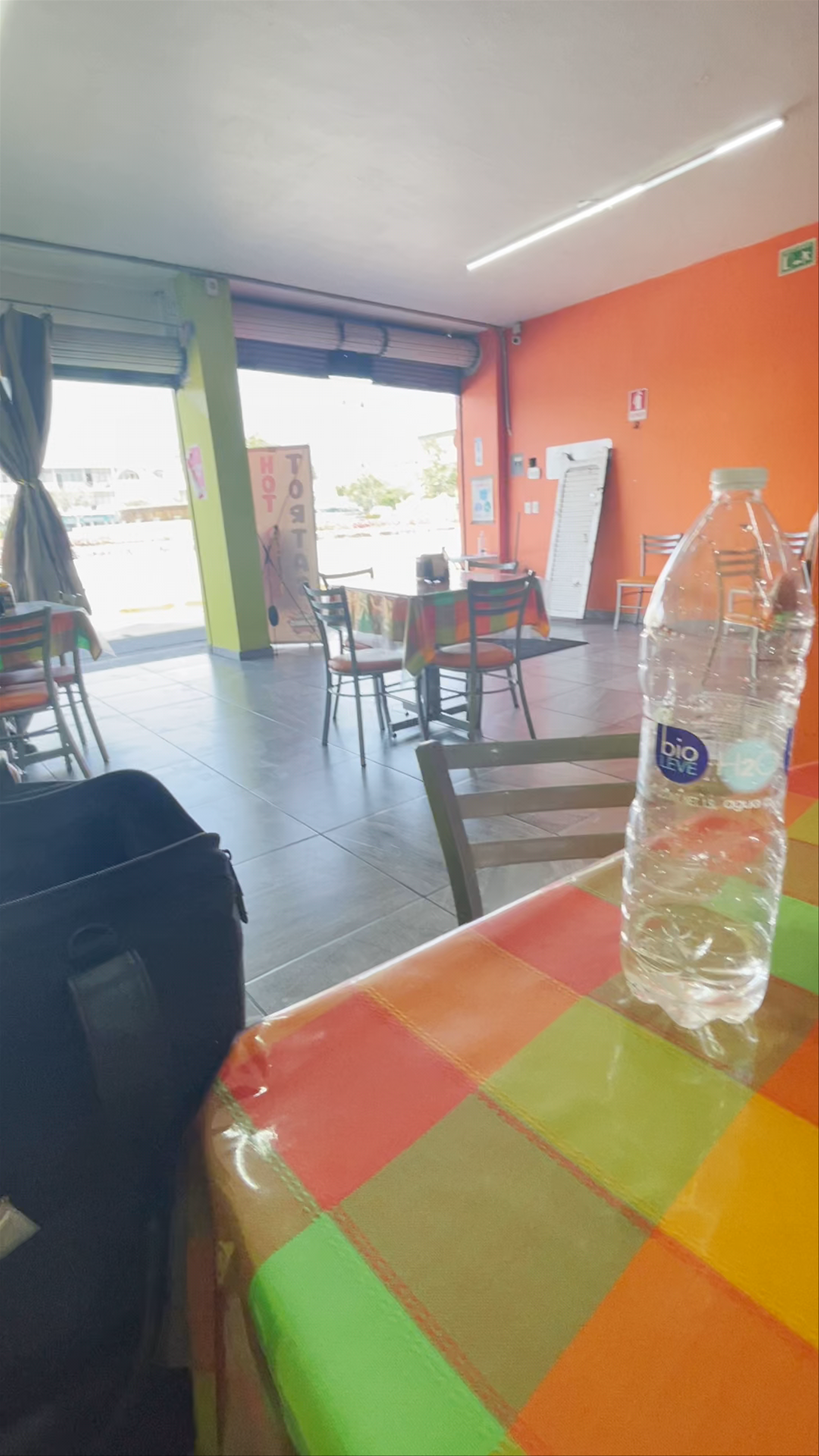 Tacos al Vapor in Guadalajara: A Cozy Local Eatery Experience