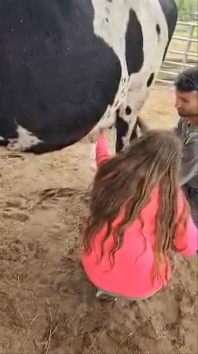 Seven Oaks Farm - Farms Near Me - DeLand, Florida