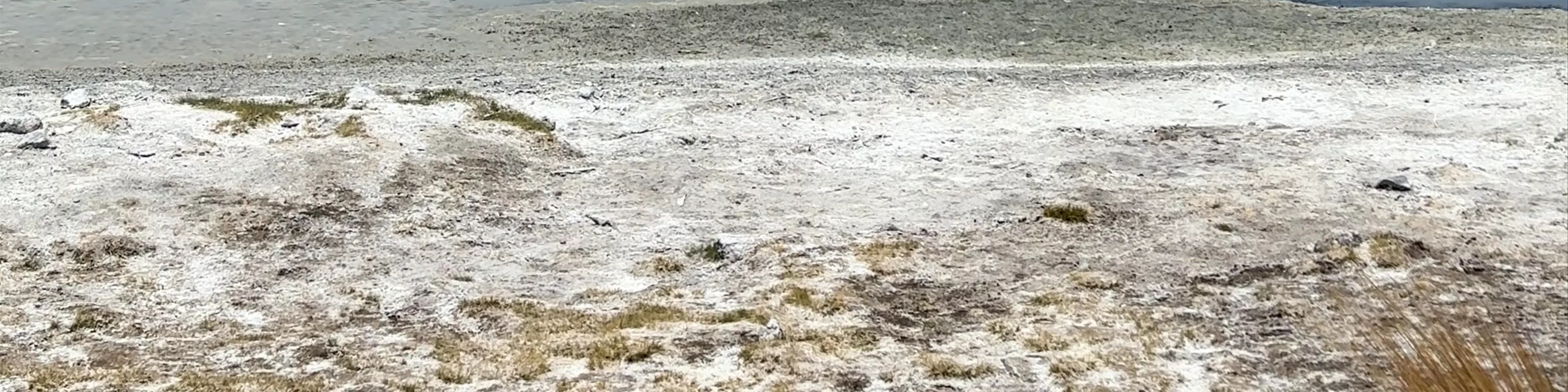 Laguna Hedionda