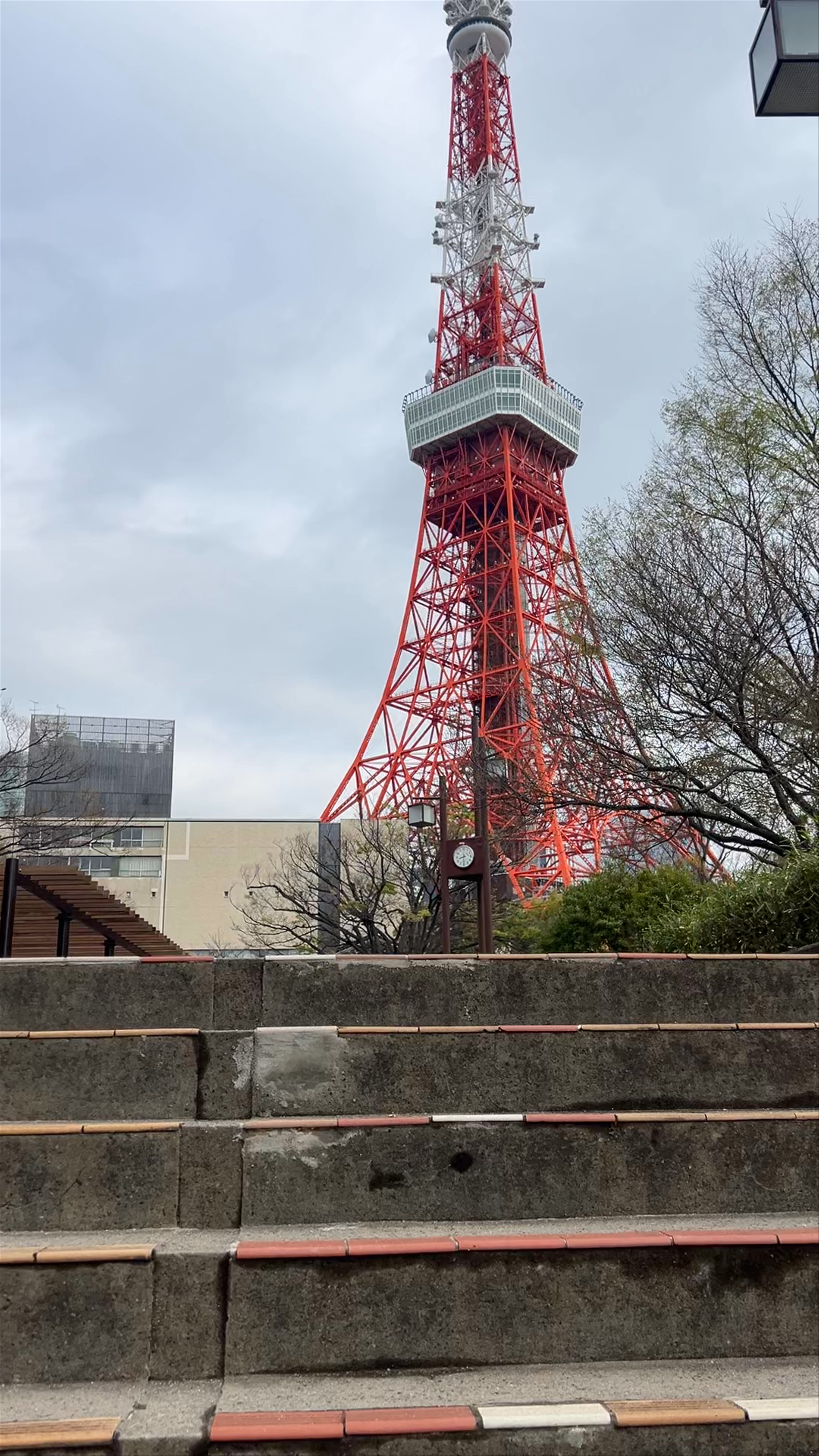 Tokyo Tower: Iconic Urban Landmark and Serene Spot in Minato City