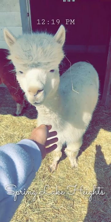 Arrow Acres Farm - Attraction Farms Near Me - Wall Township, New Jersey