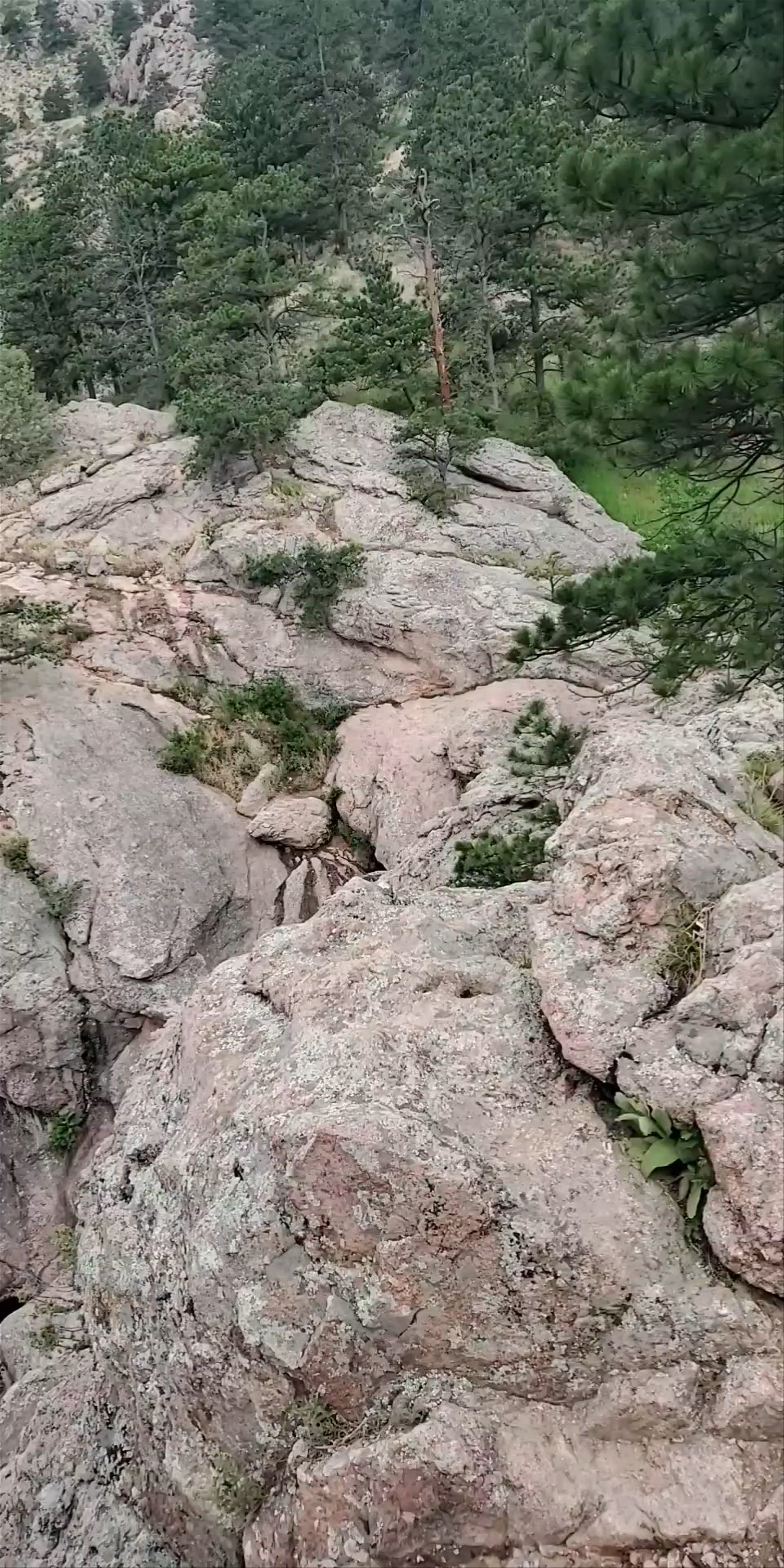 Horsetooth Falls Trail