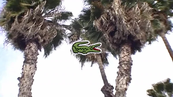 Lacoste - © Artlist