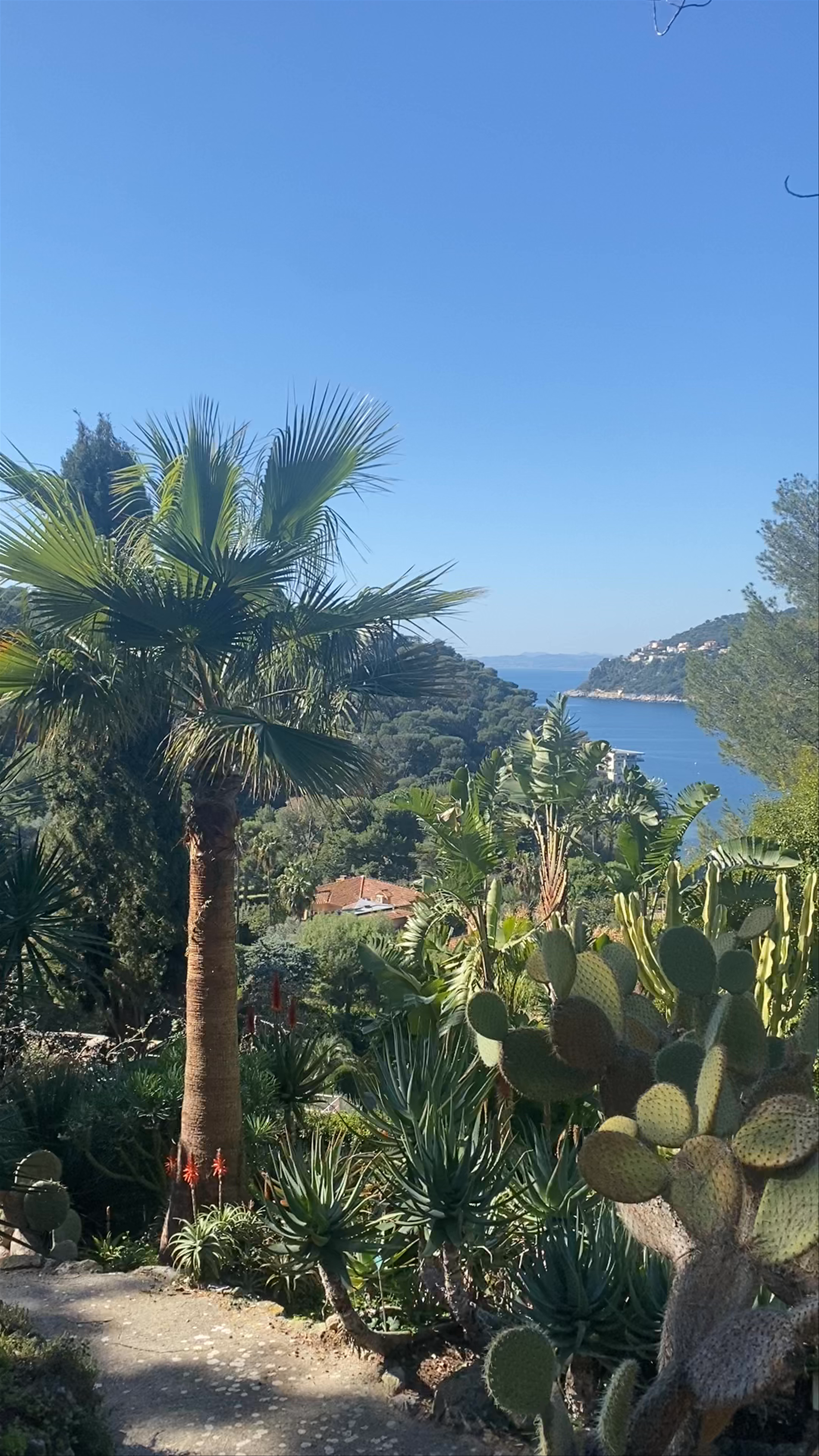 Villa Ephrussi de Rothschild: Mediterranean Botanical Paradise on the French Riviera