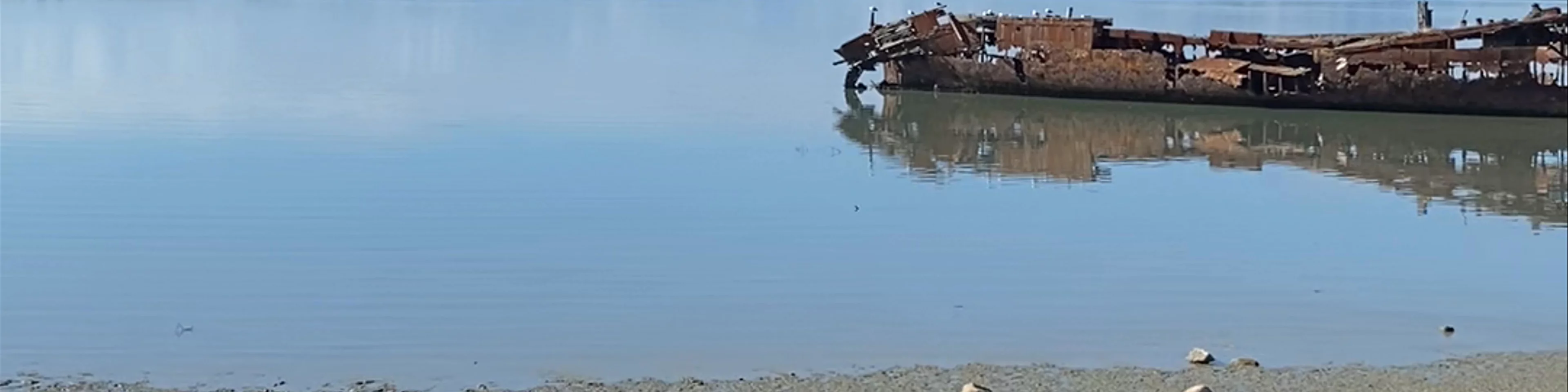 Janie Seddon Shipwreck Motueka Quay