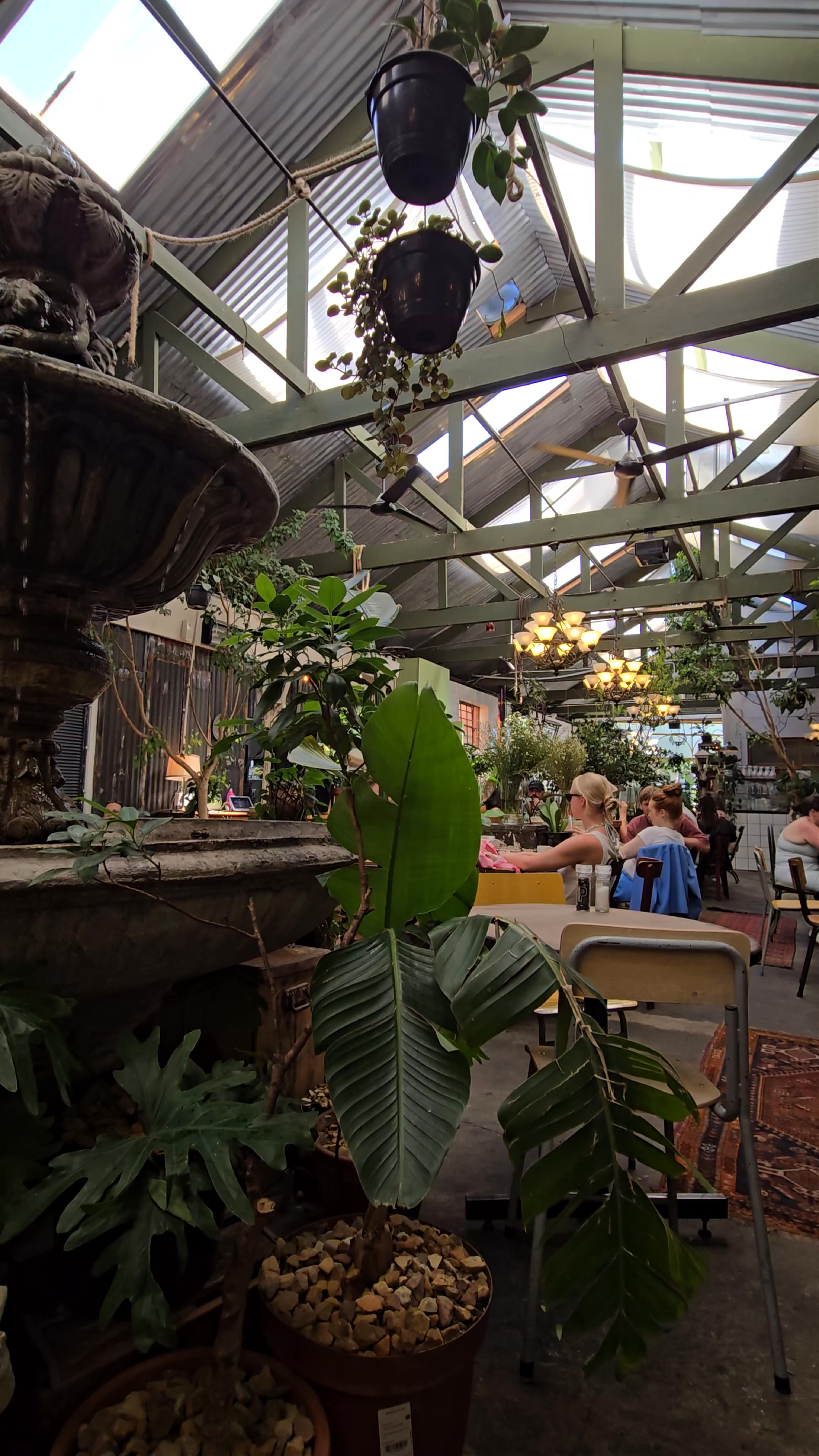 Our Local Kloof Street