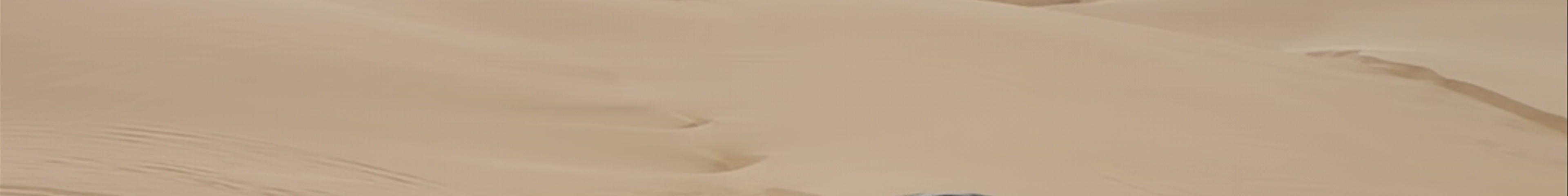 Tours & experiences in Walvis Bay