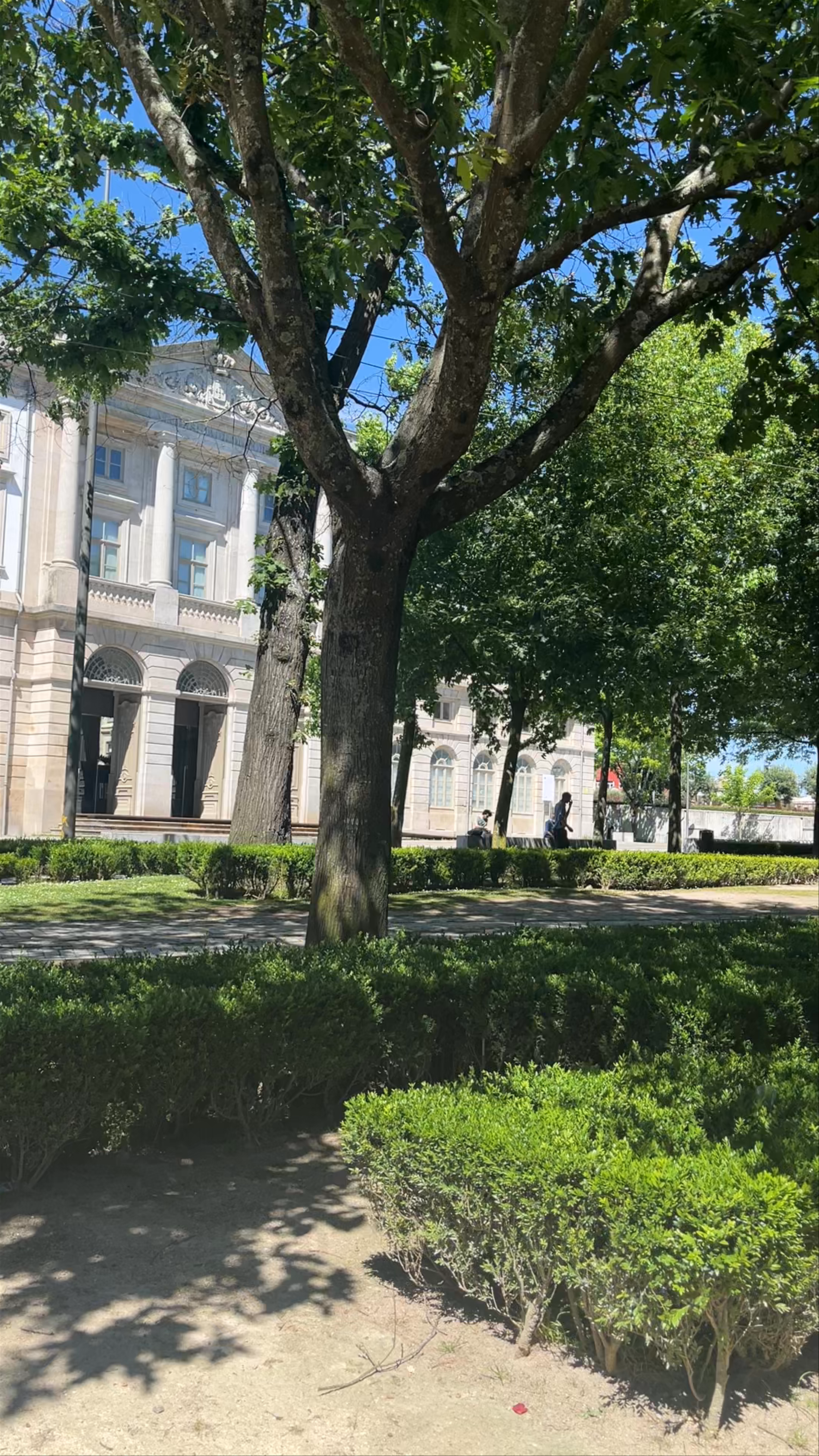 Jardim da Cordoaria: Lush Green Oasis in Porto's Historic Heart