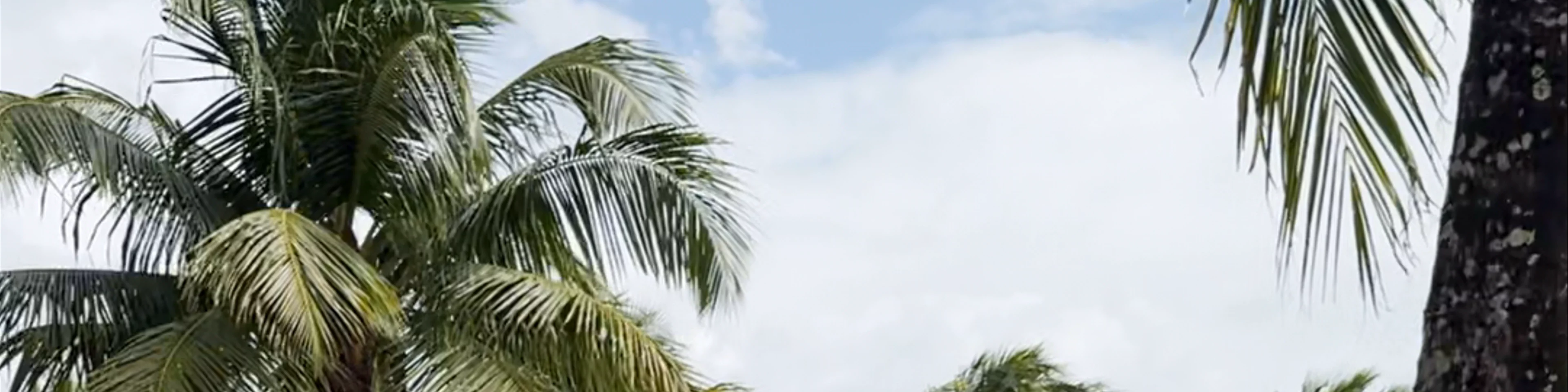 Harvest Caye