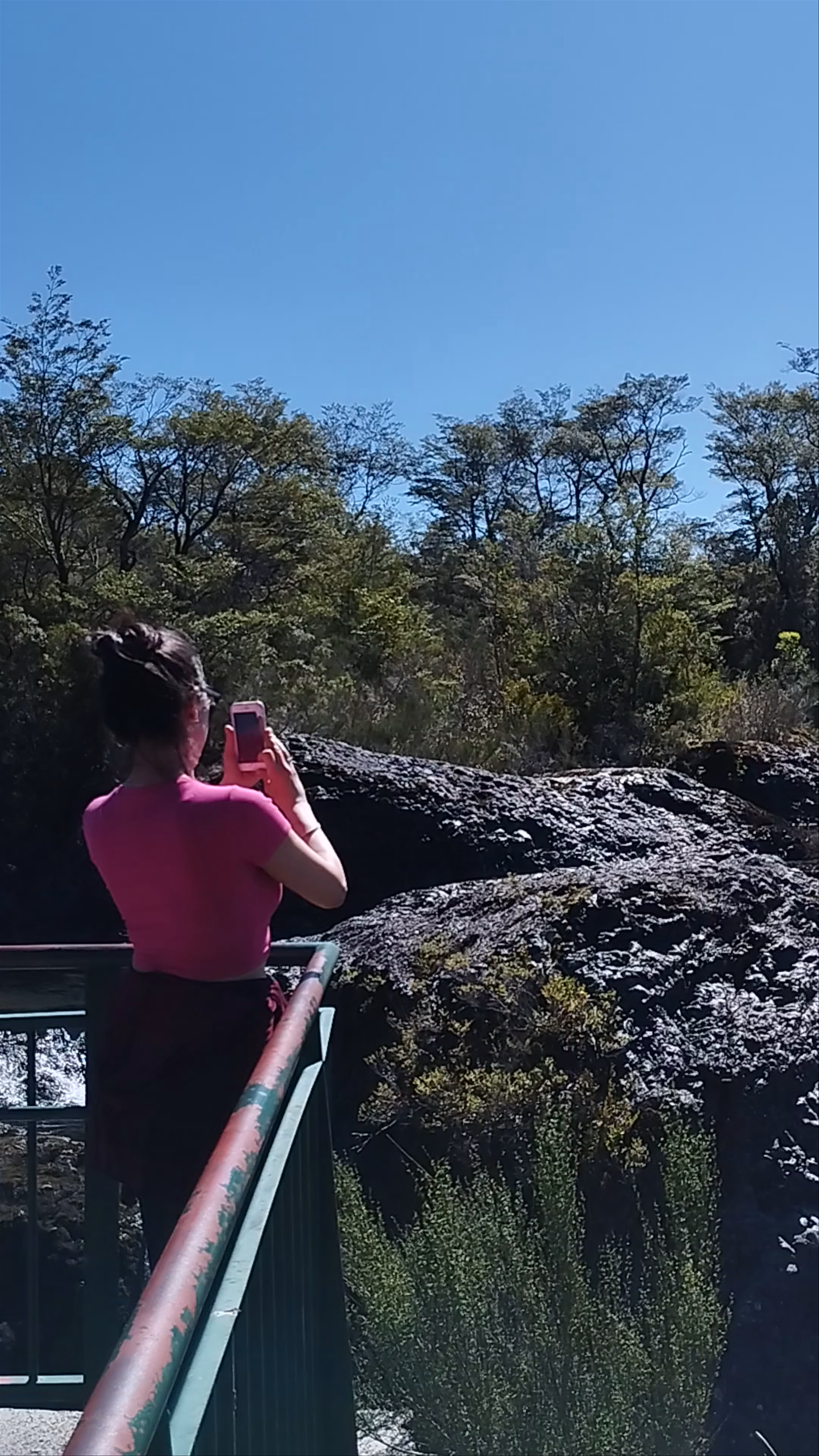 Parque Saltos del Rio Petrohue - Ruta 225