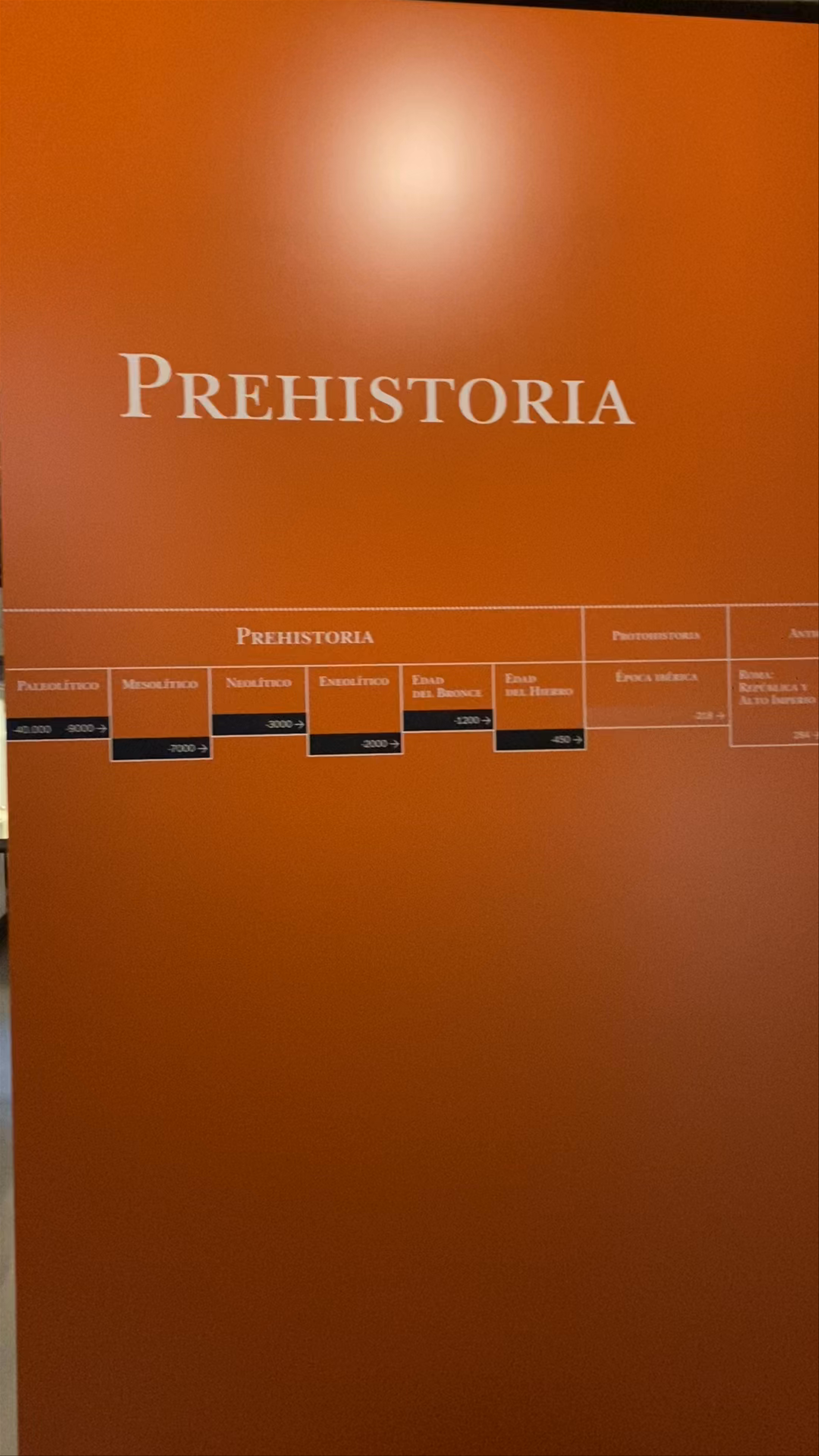 Discover Prehistoric Wonders at Museo Provincial de Teruel