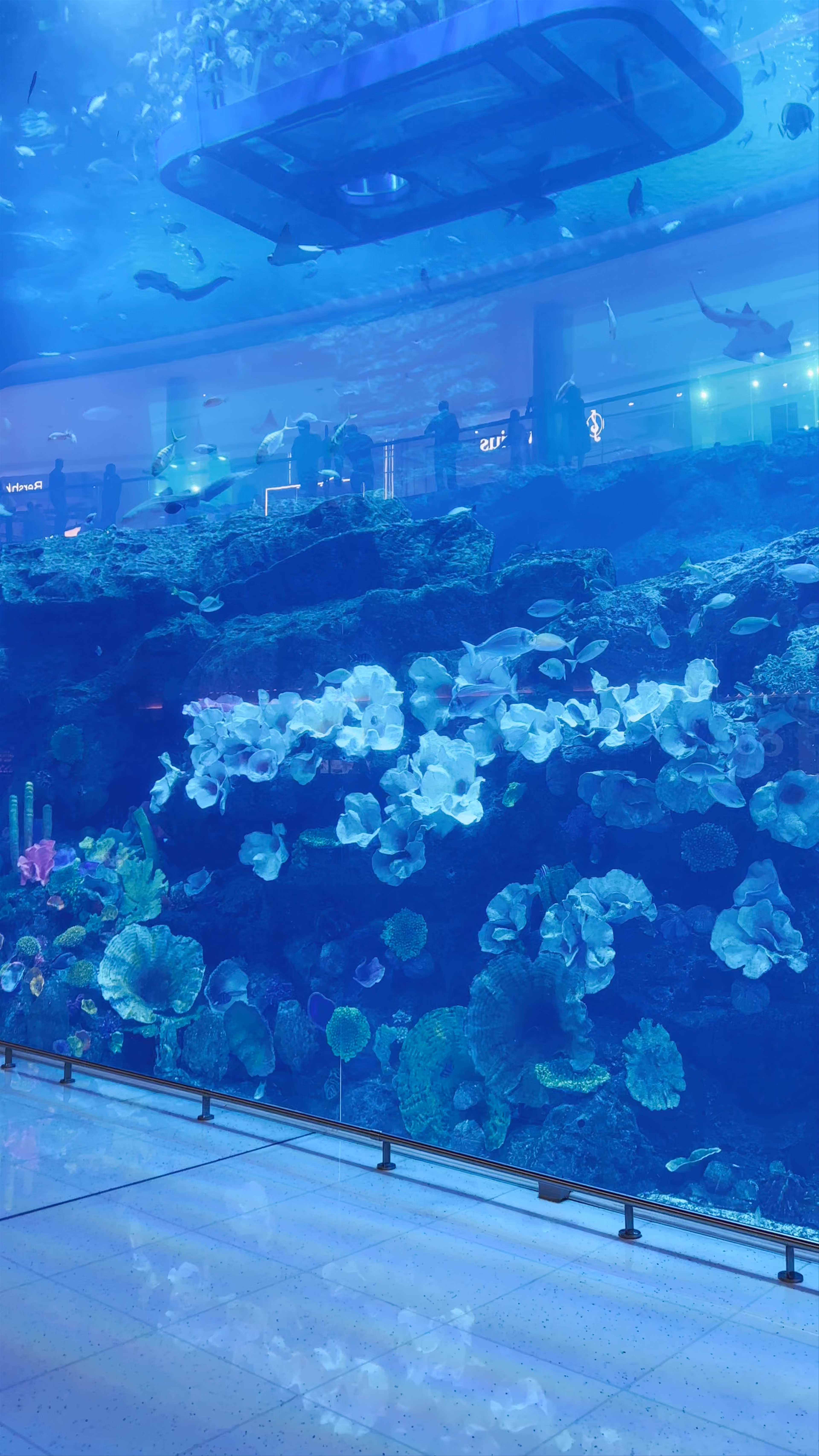 Dubai Aquarium & Underwater Zoo - Dubai - United Arab Emirates