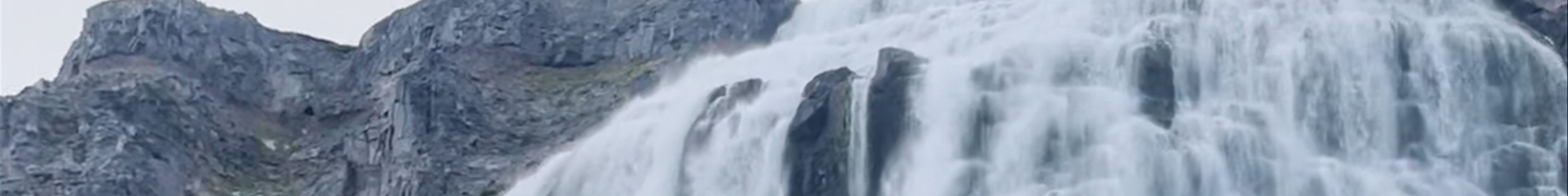 Tours & experiences in Ísafjörður