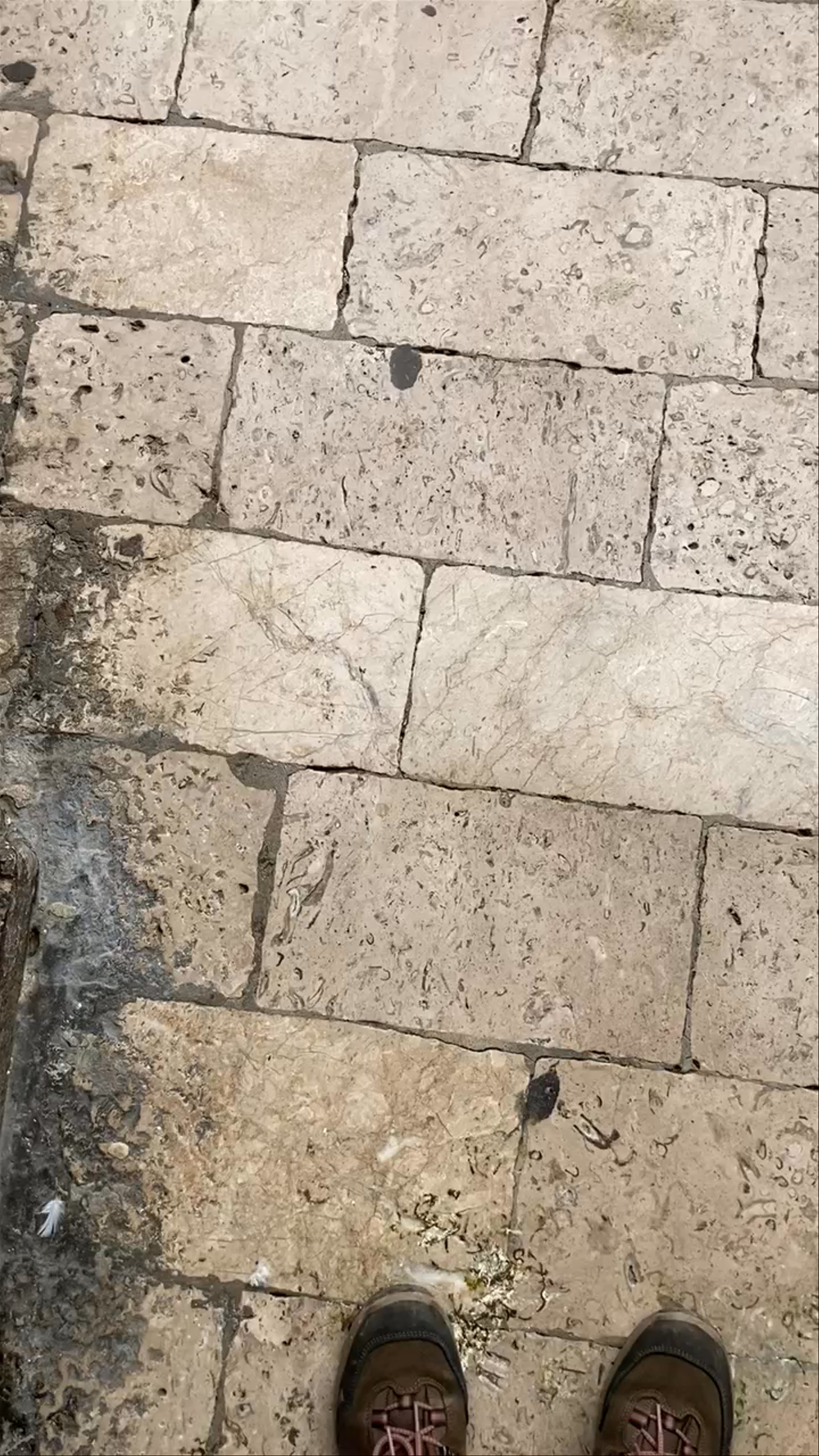 Velika Onofrijeva Fontana: Timeless Elegance in Dubrovnik's Old Town