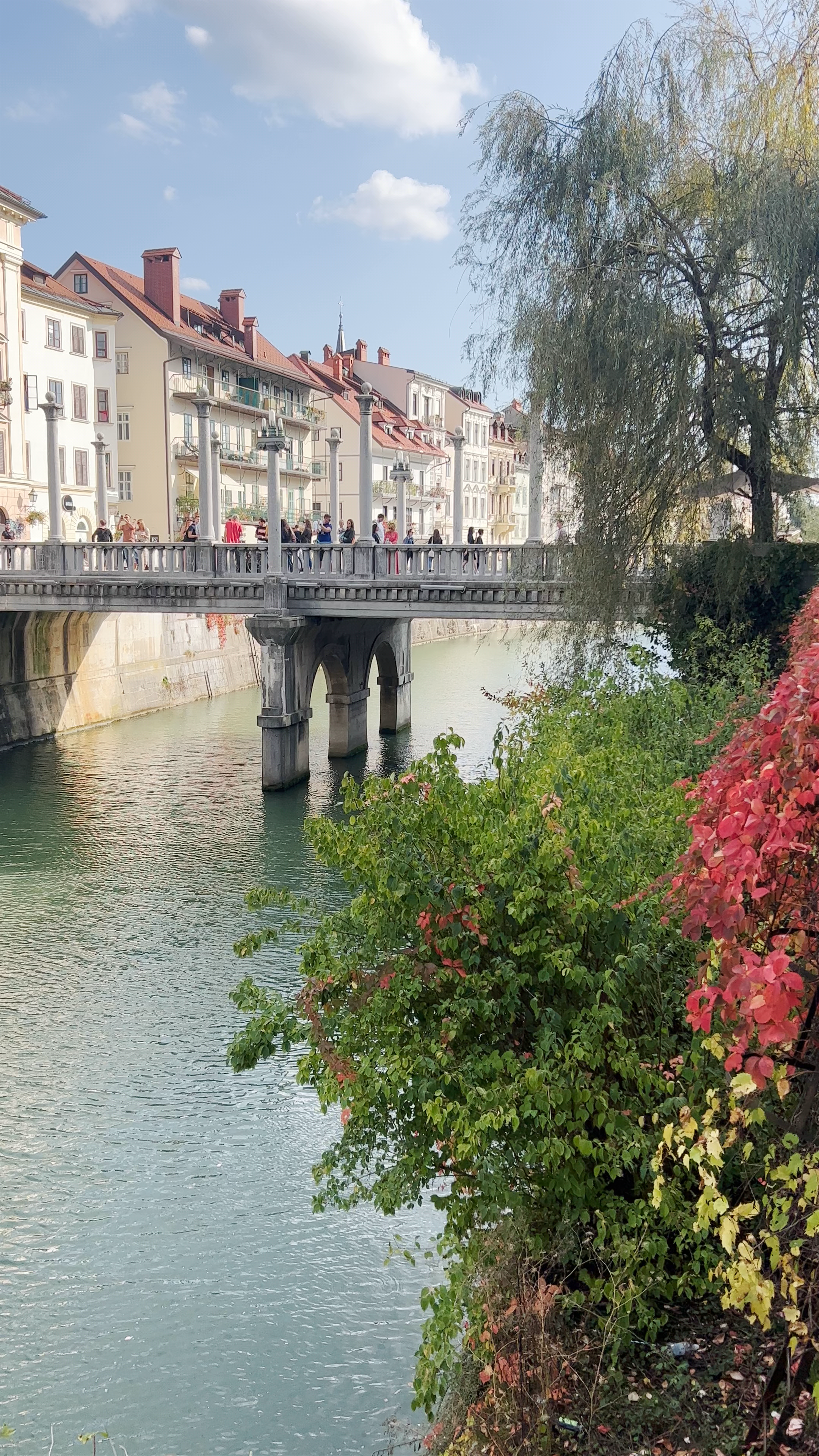 Obrečni prostor Ljubljanice