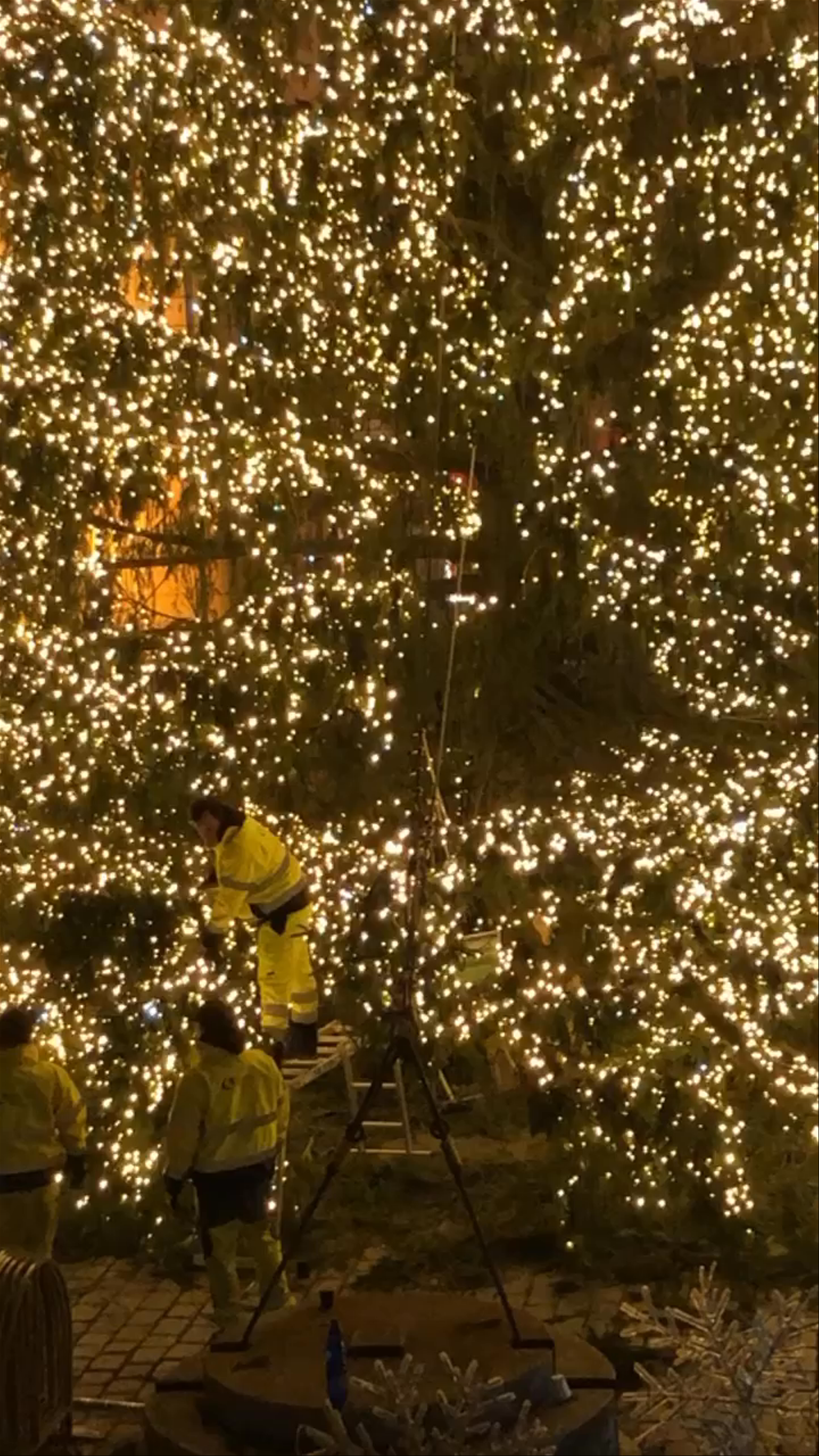 Magical Christmas Tree Lighting in Prague Old Town Square