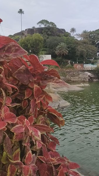 Photo of Nakki Lake Mount Abu