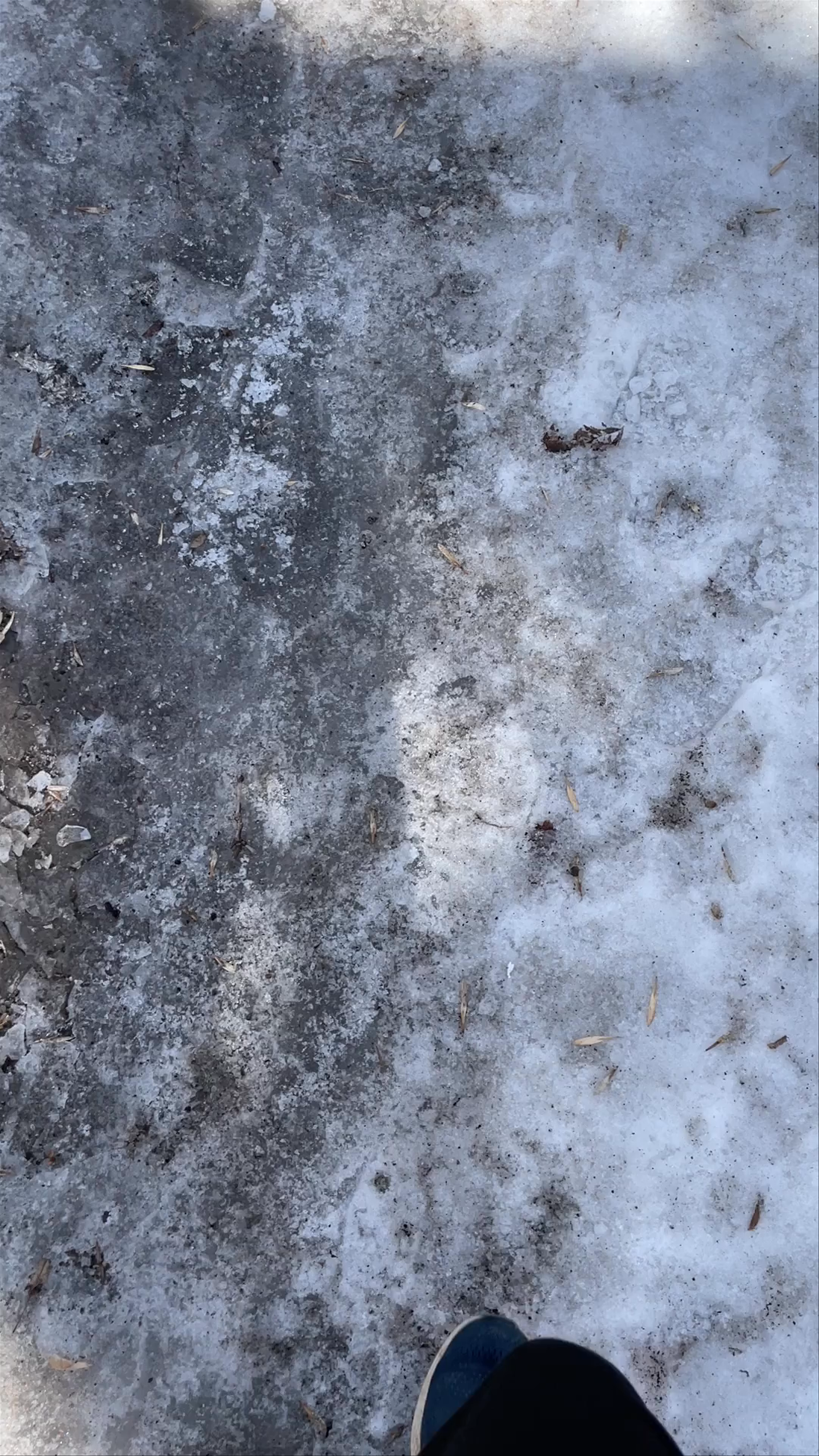 Parc Gilles-Lefebvre