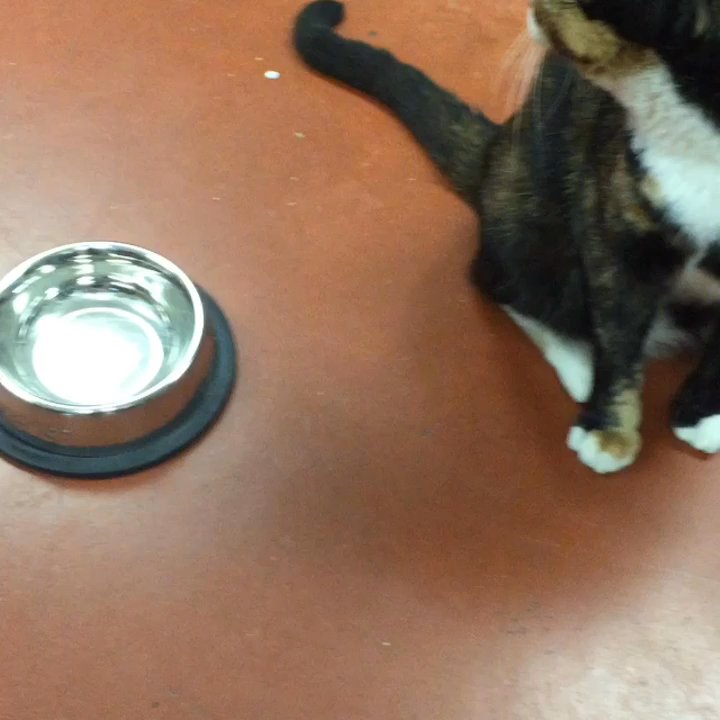 Video thumbnail 5 more videos