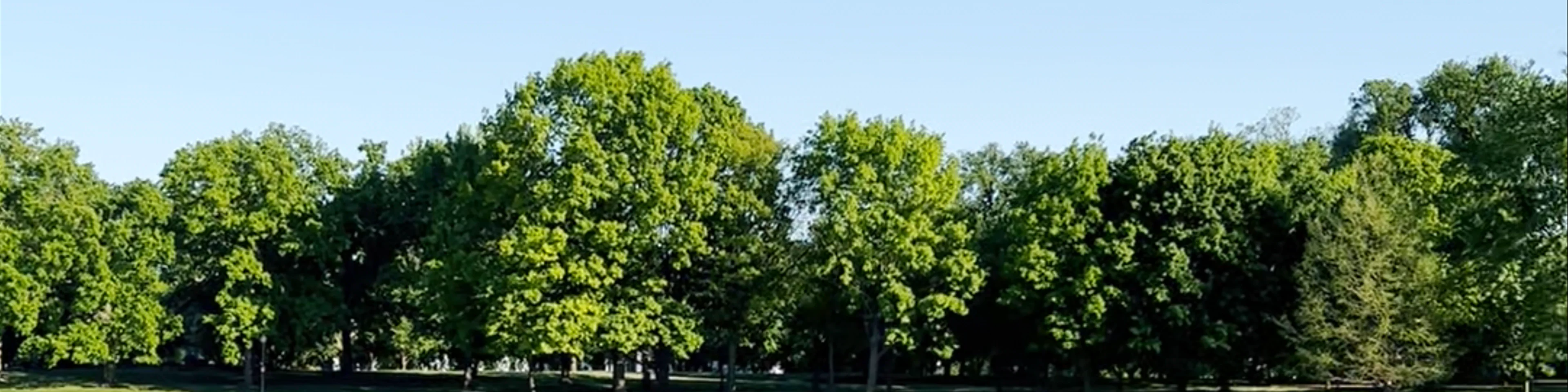 Constitution Gardens
